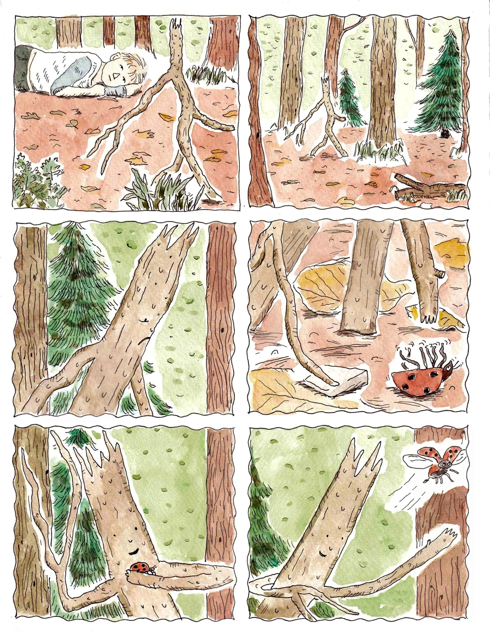 Magic Nation 1 — Fieldmouse Press