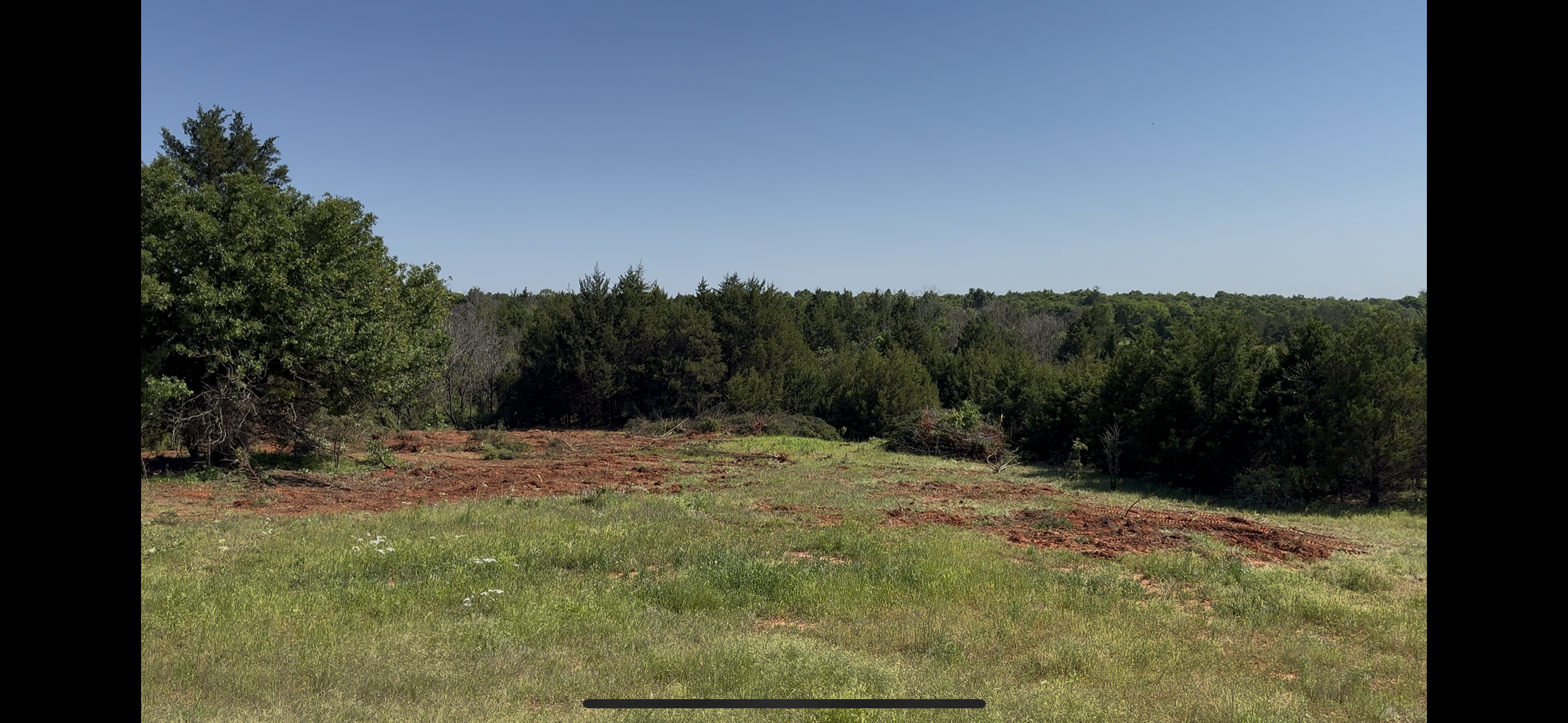 IMG_7795 (1).png