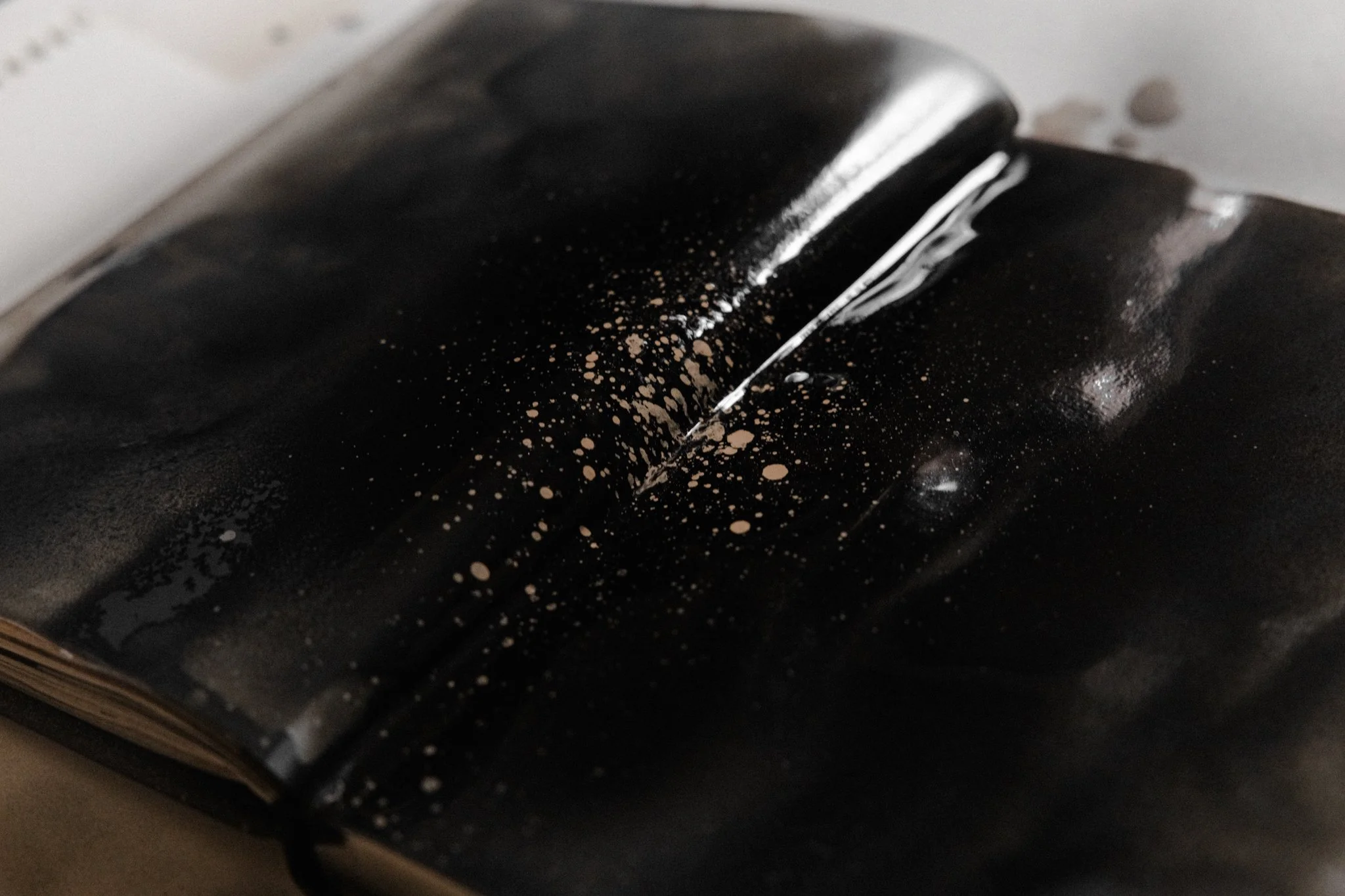 BOOKOGBLACKHOLESWET-004.jpg