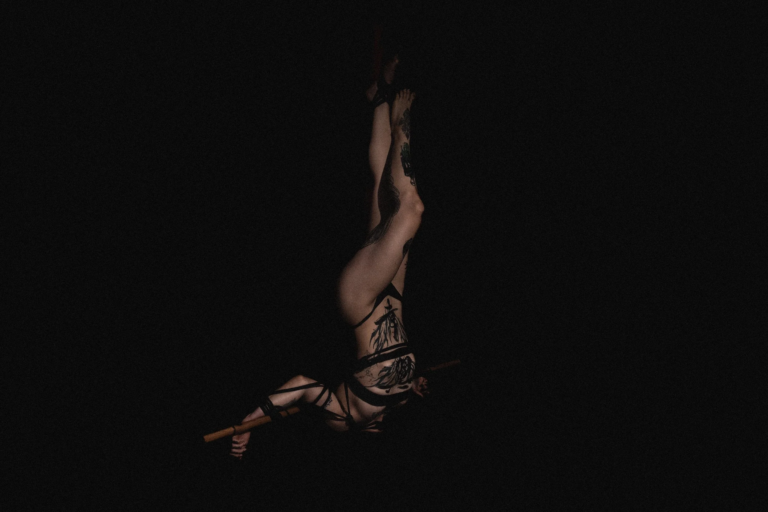 shibariwithgaren-001 copy.jpg