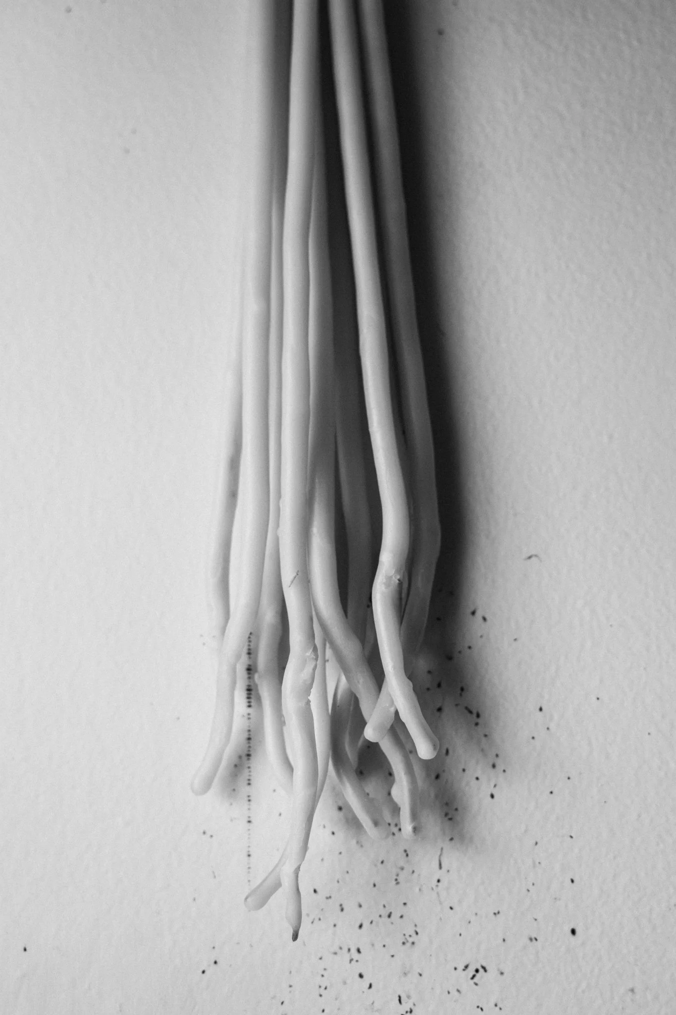 antlers-004.jpg