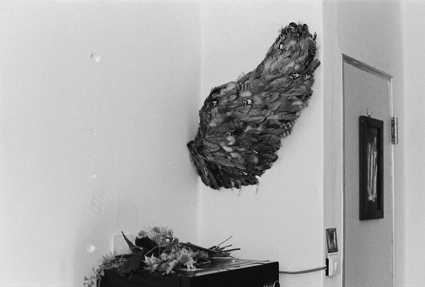 empty words are equally powerful
NIKON FM2 KODAK BW TX 35MM