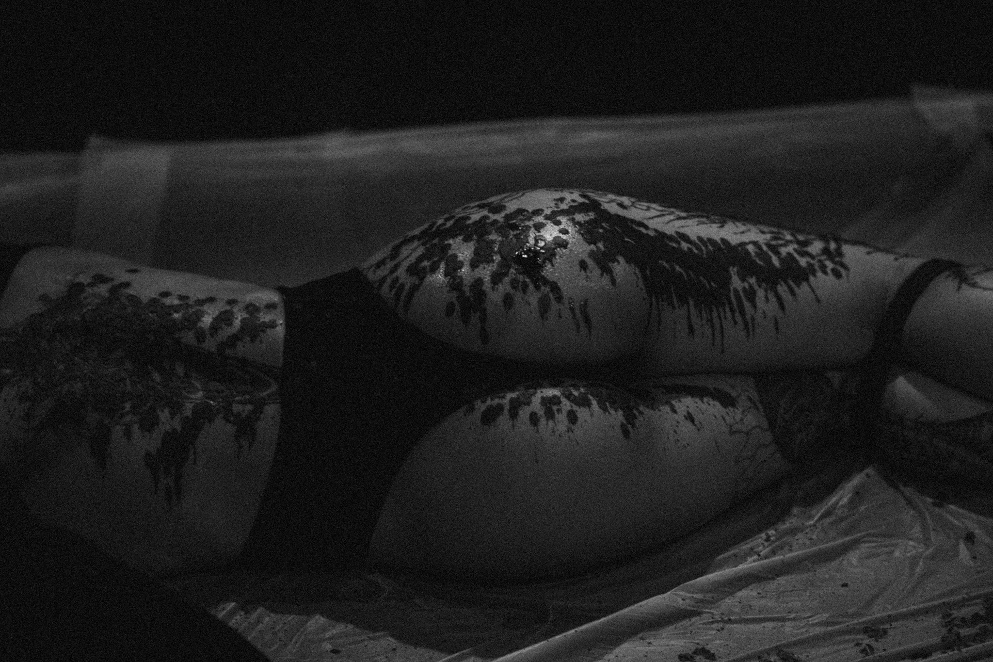 SHIBARI_WAX-008.jpg