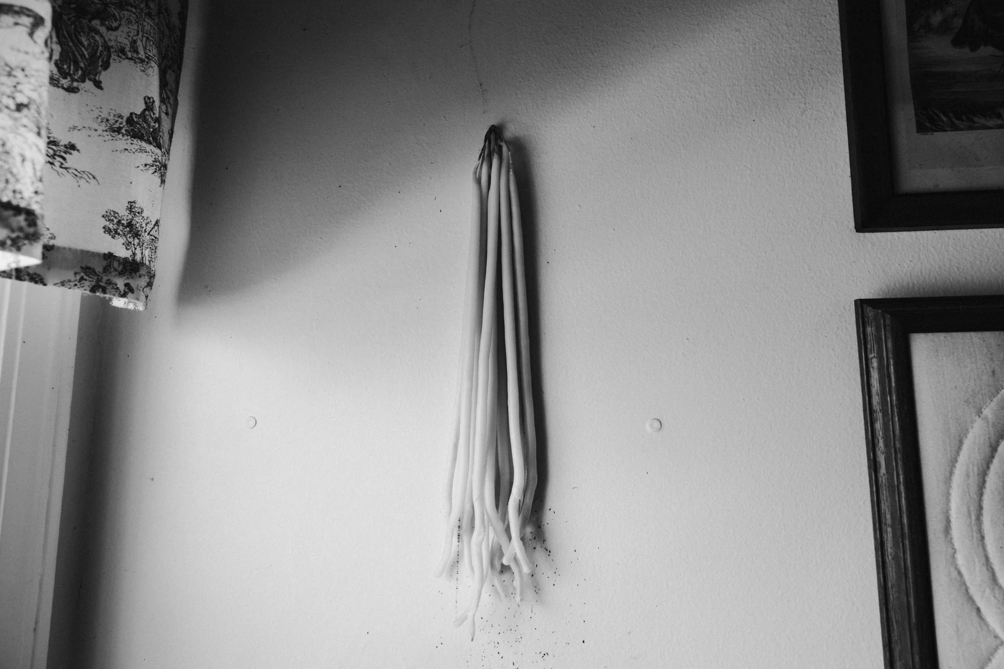 antlers-001.jpg
