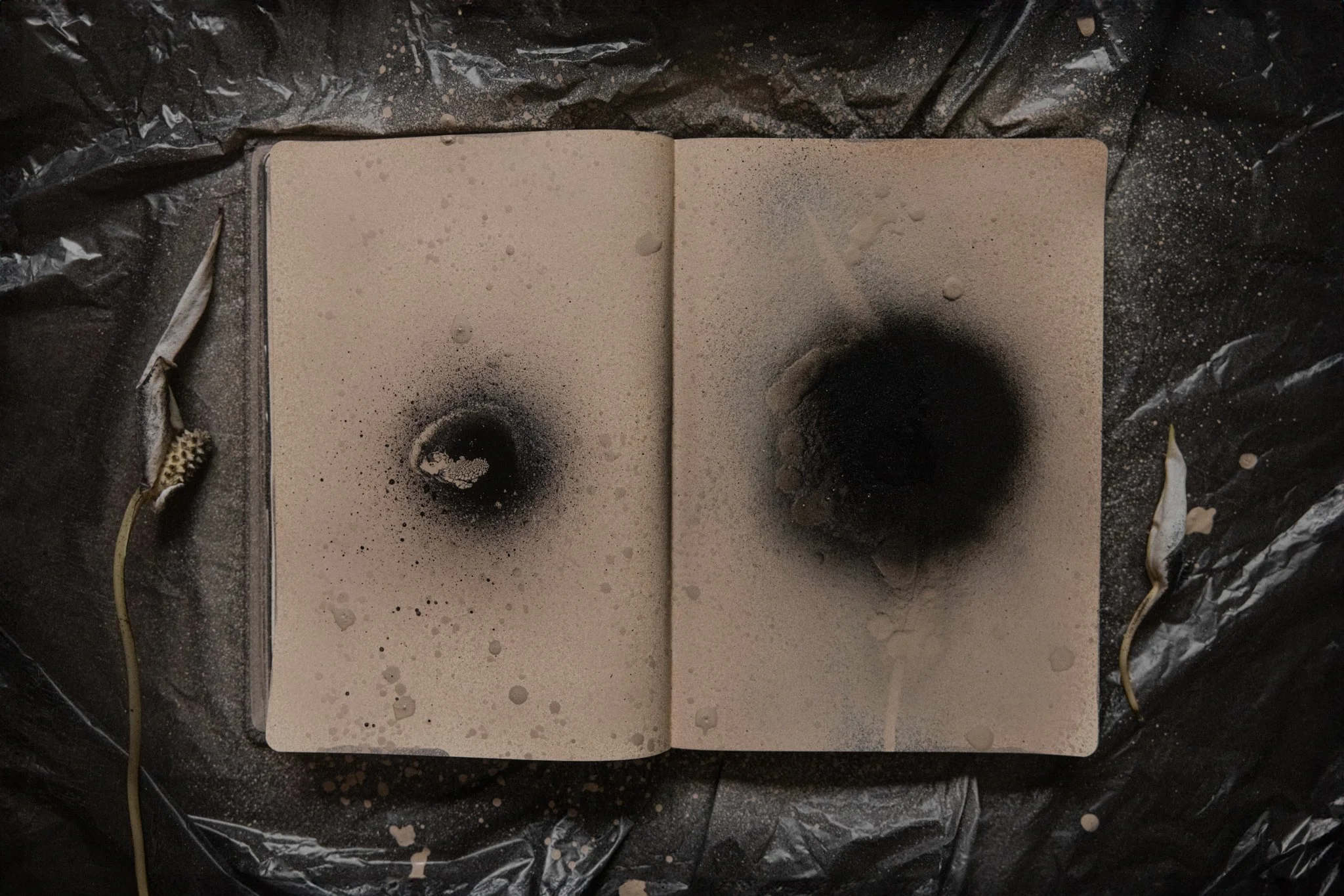 An open notebook with two pages, each with a large black spray paint burn hole, surrounded by splatters and spray dust, on a black plastic surface with two dried plant stems.