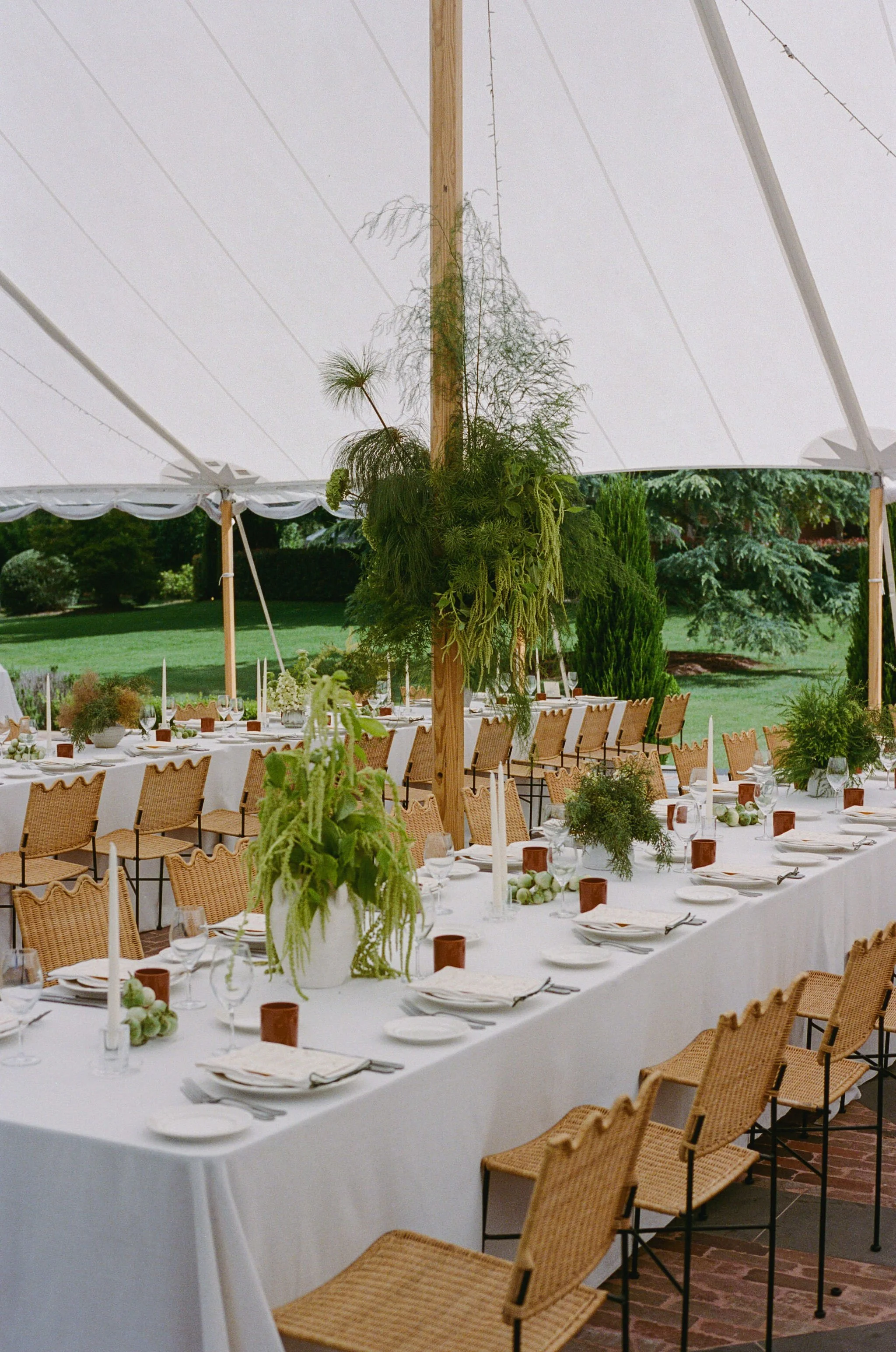 Ana&Gary-Wedding-Film-BlaiseBellPhotography-90.jpg