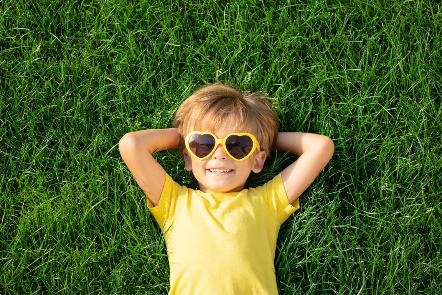 Home New Glarus Cares