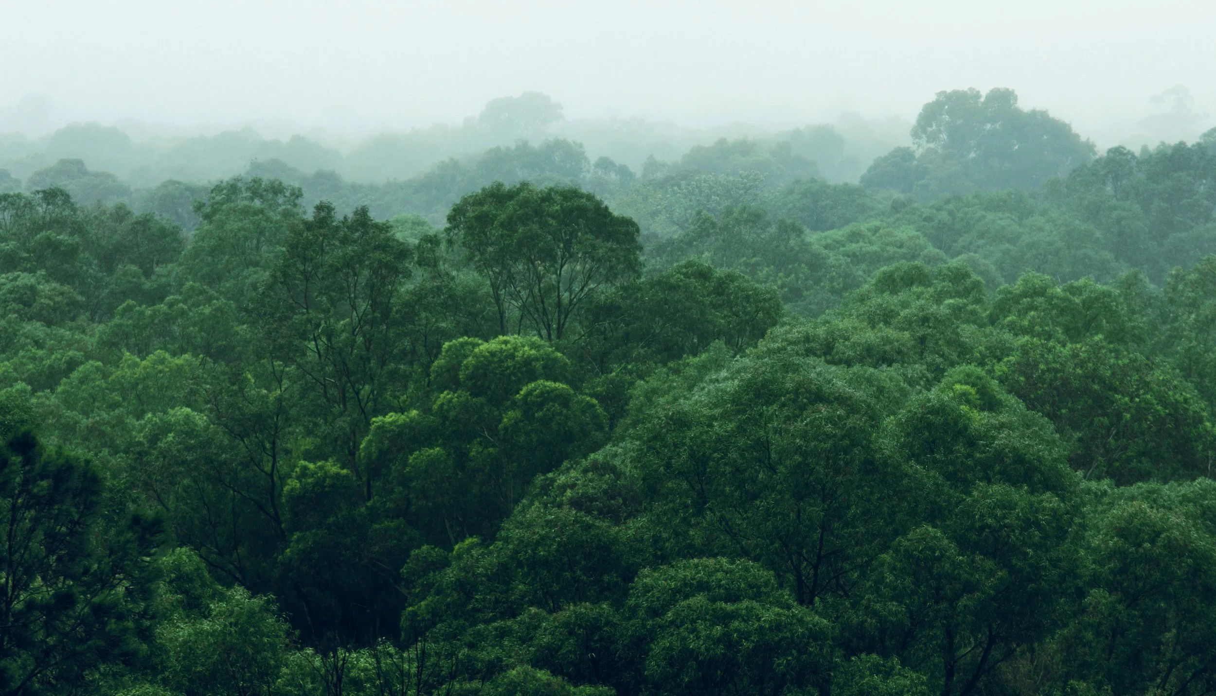 AdobeStock_248557151 (1).jpeg