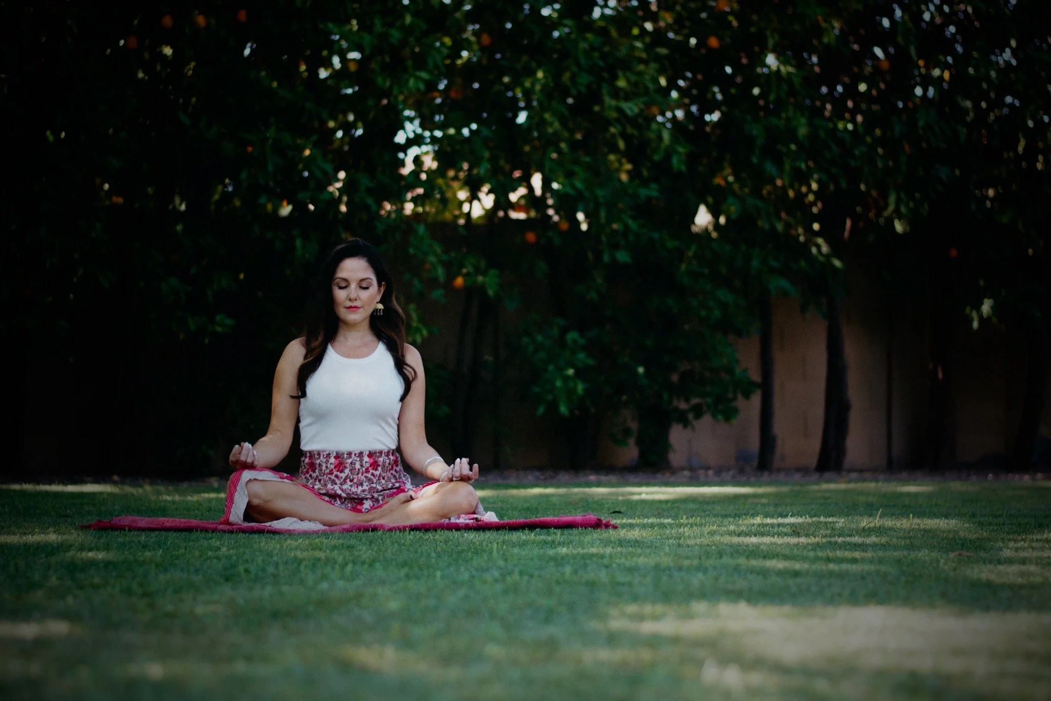 Programs_Learn Header.jpg