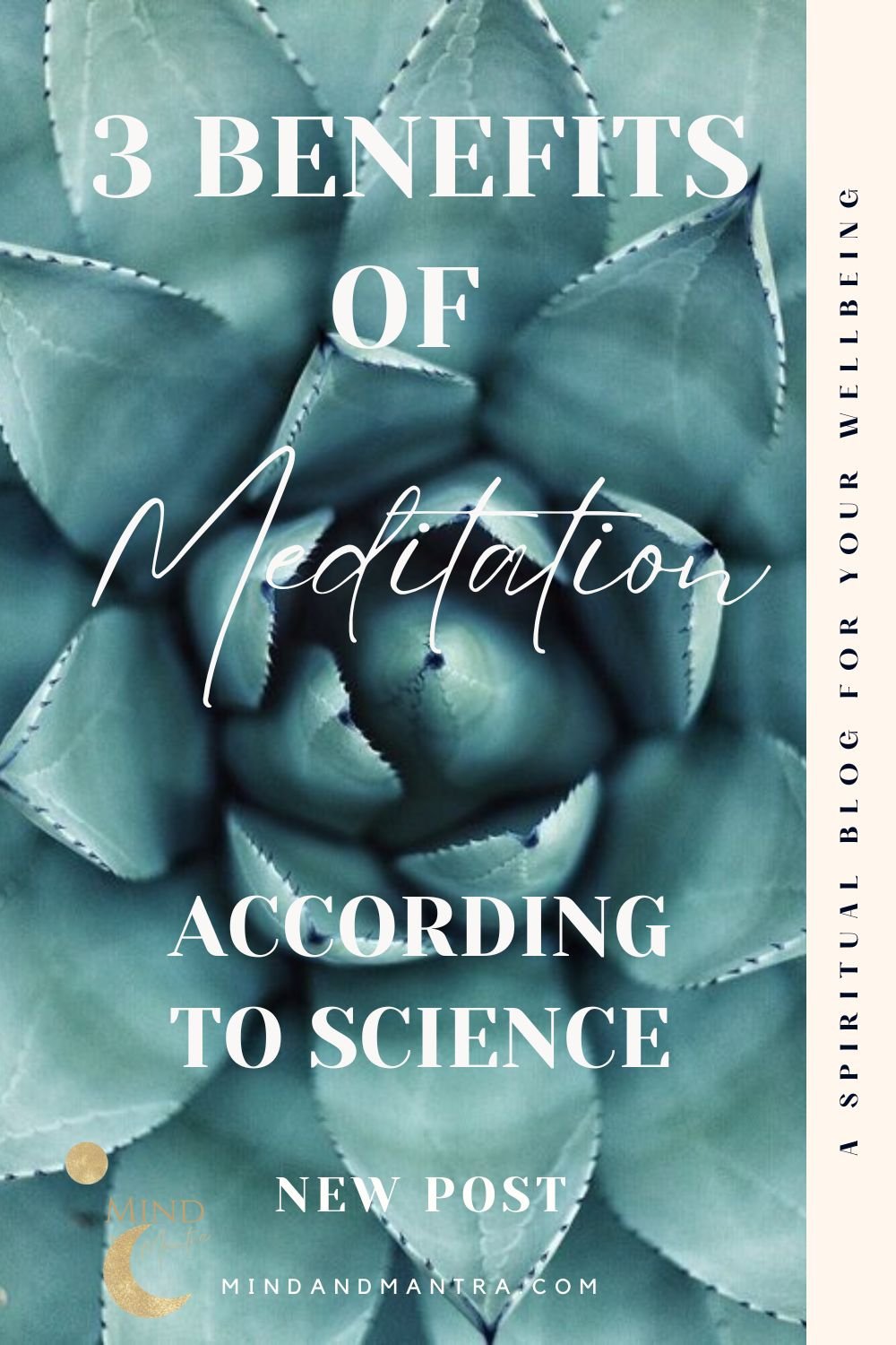 meditation according to science.jpg