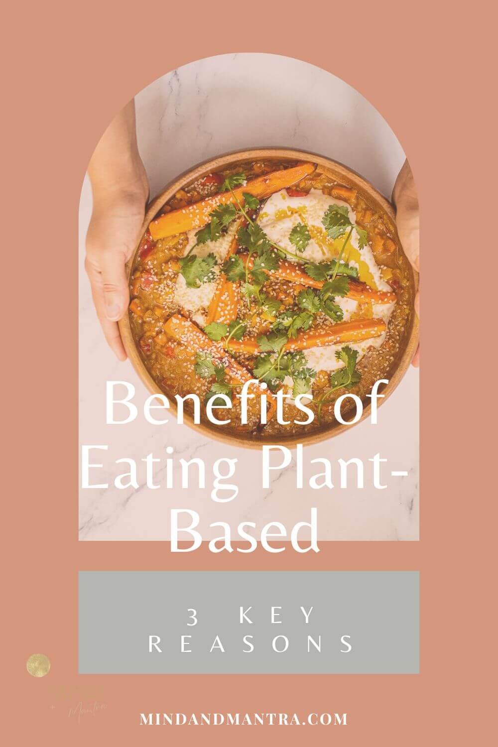 3 Reasons to Eat Plant-Based and 6 Ideas on How to Do That! Bonus My Favorite Vegan Recipes (3).jpg