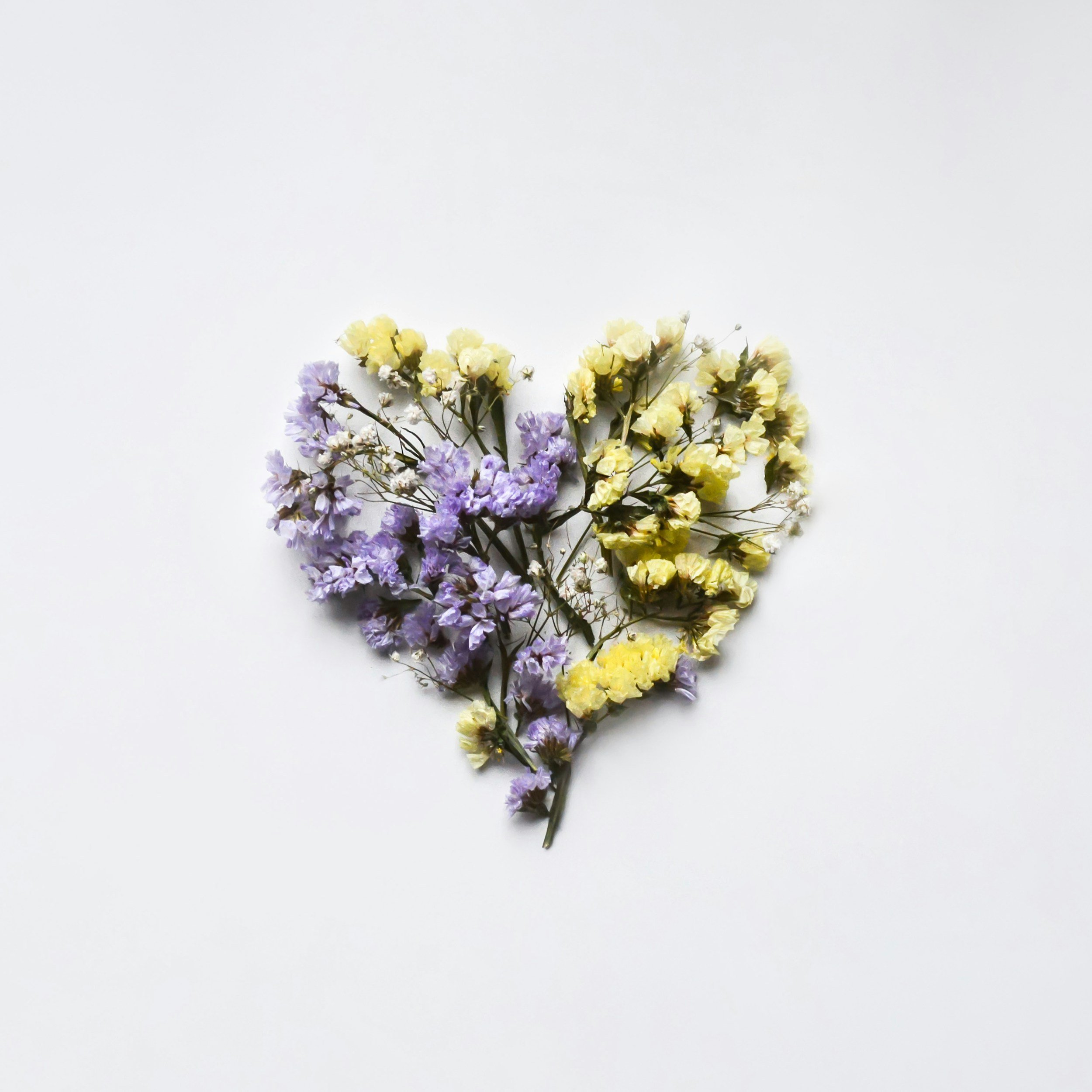 Heart Medicine