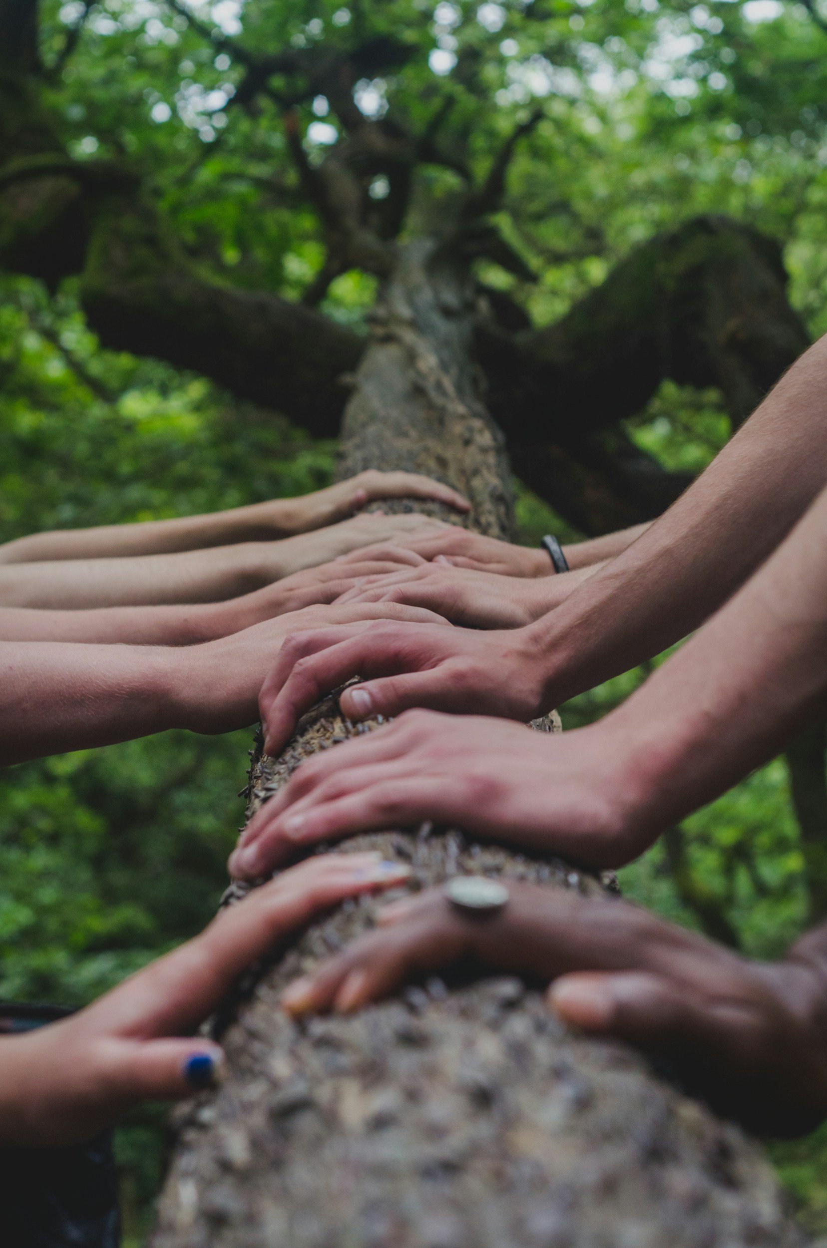 True Belonging