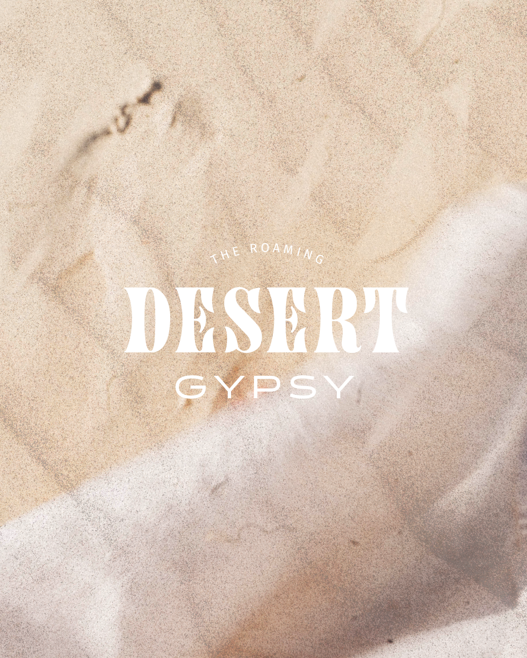 IG_The Roaming Desert Gypsy CoverArtboard 1.png