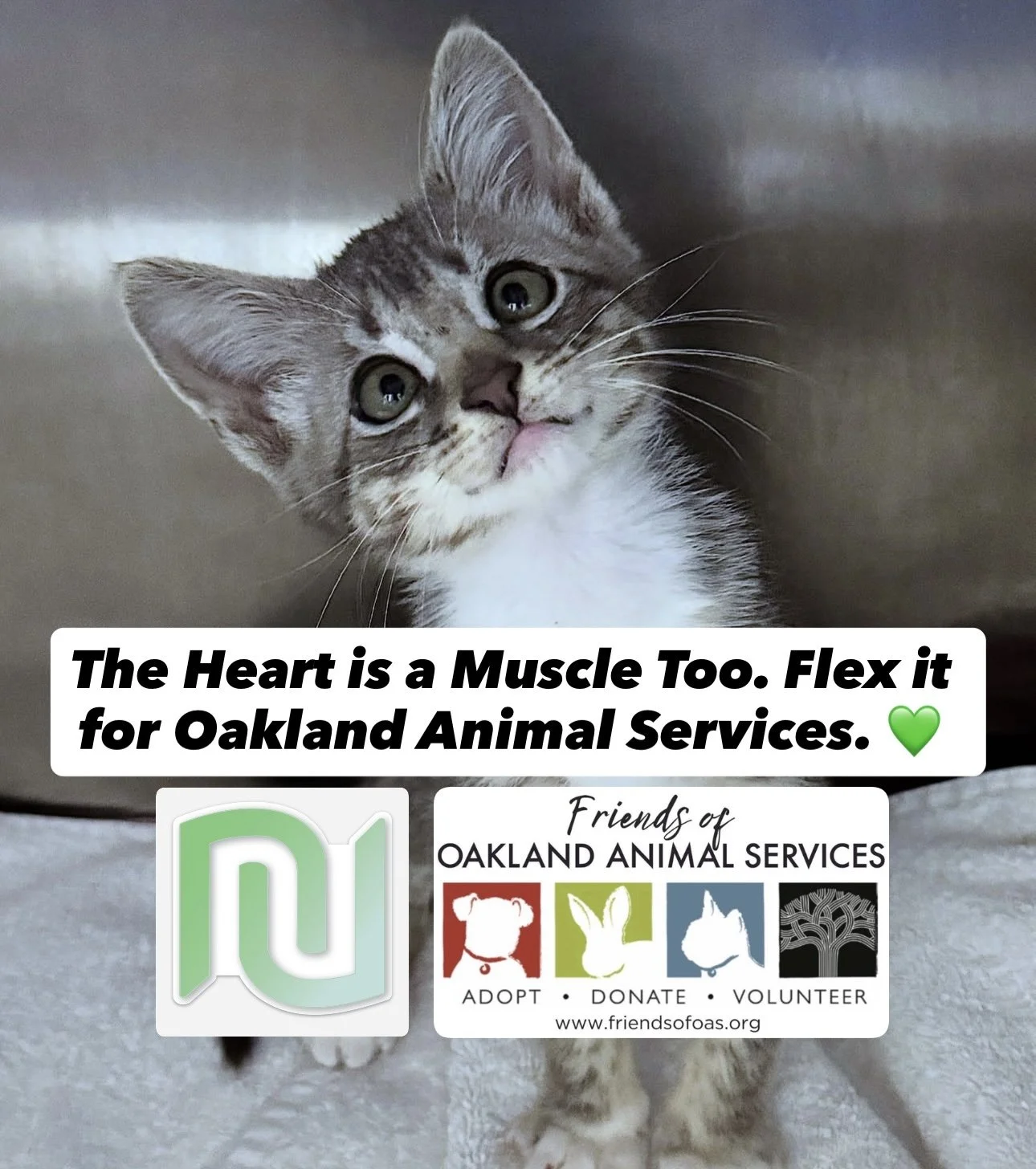 🧡 The Heart is a Muscle Too — Let’s Flex Ours for Oakland Animal Services