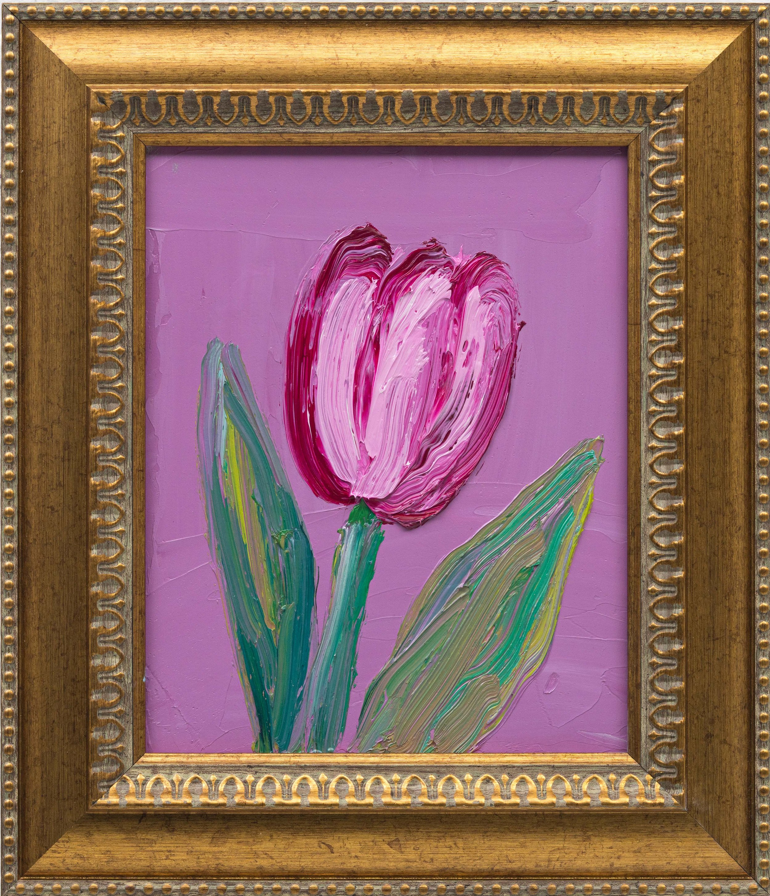 Pink Tulip