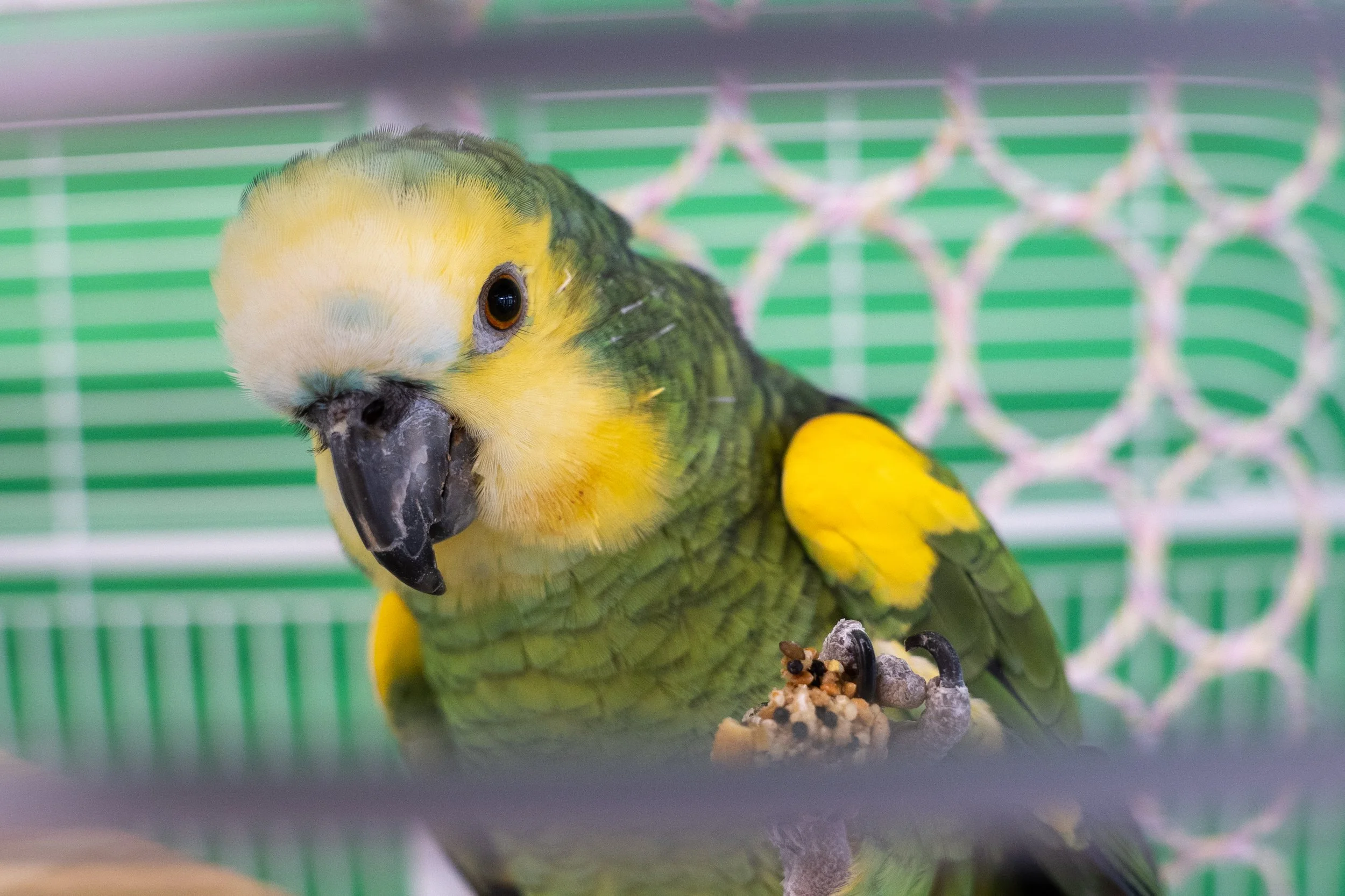 PHOTOGRAPHY_ALLISON DAYKA_Studio-48.jpg