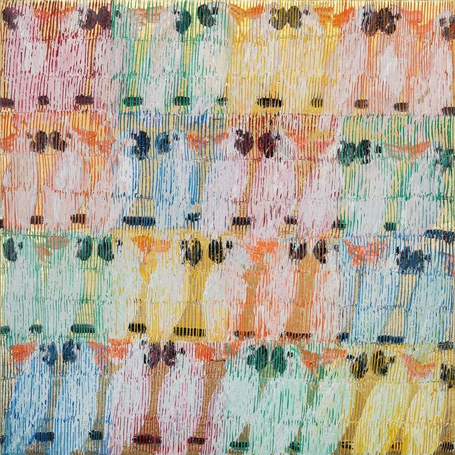 Molucans Square Hawaii