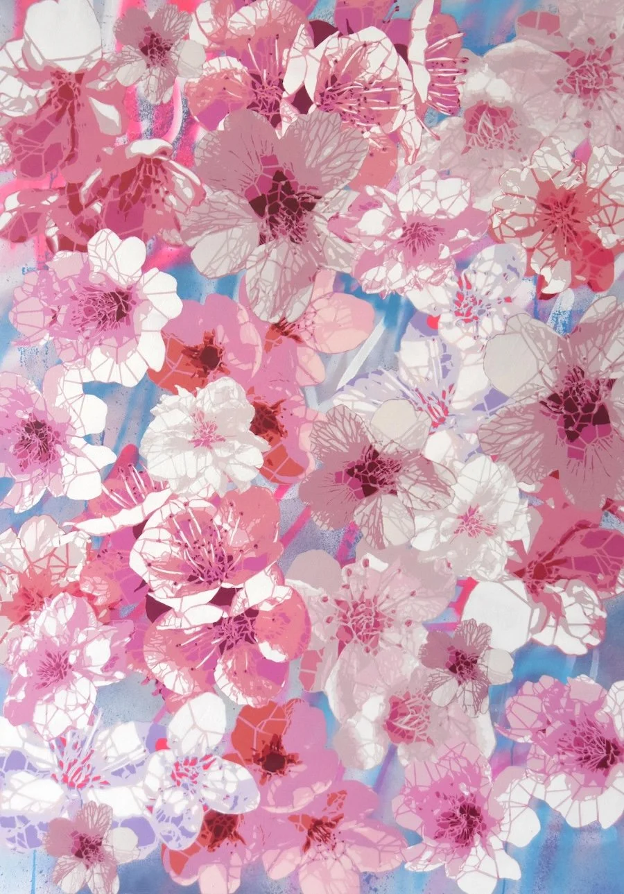 Sakura Hanami - Boreal