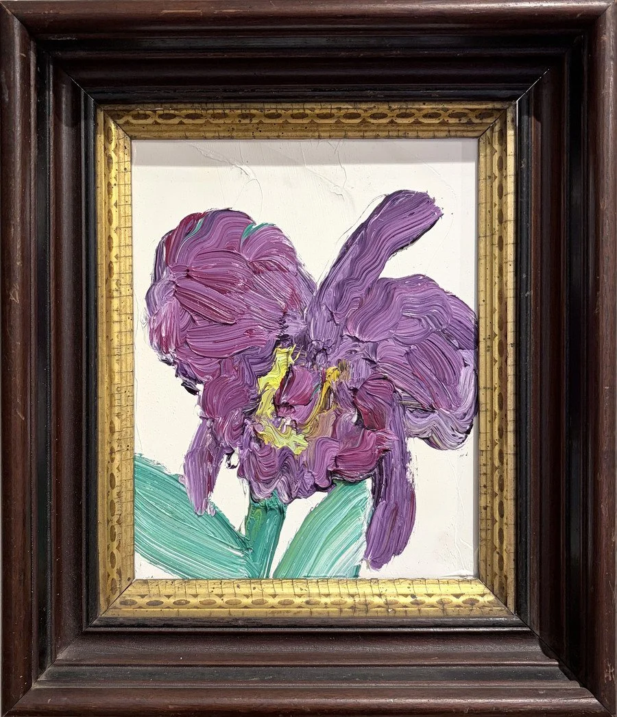 Catelaya Purple
