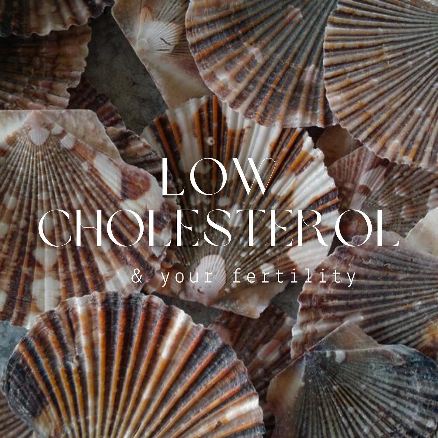 Cholesterol gets a bad name but when talking hormones and fertility it is vital!!!
💯
In fact cholesterol is the major building block for our steroidal hormones such as testosterone, estrogen and progesterone.

Unfortunately when we visit the GP they