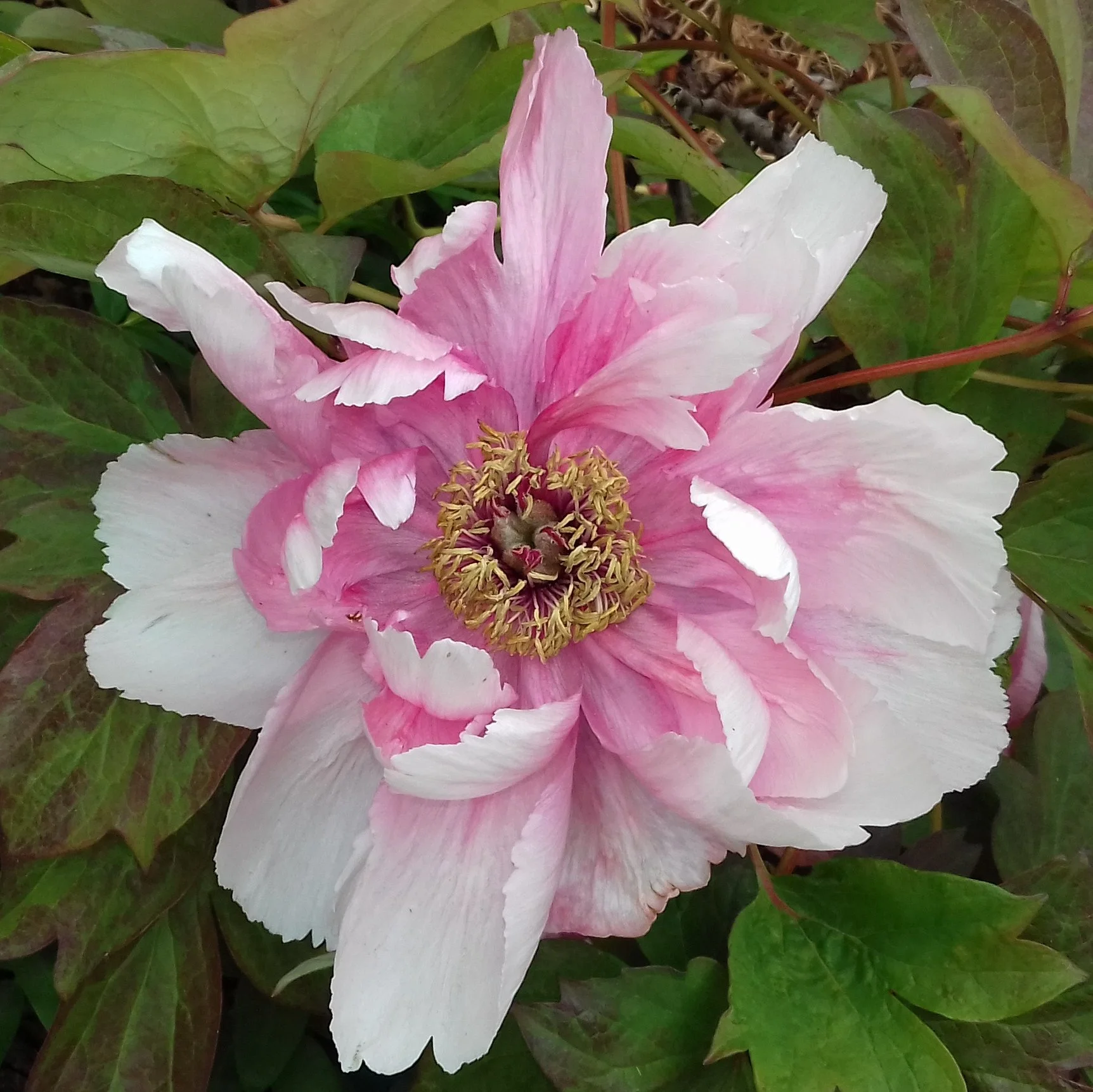 Mother's Day service led by Renee Neilson