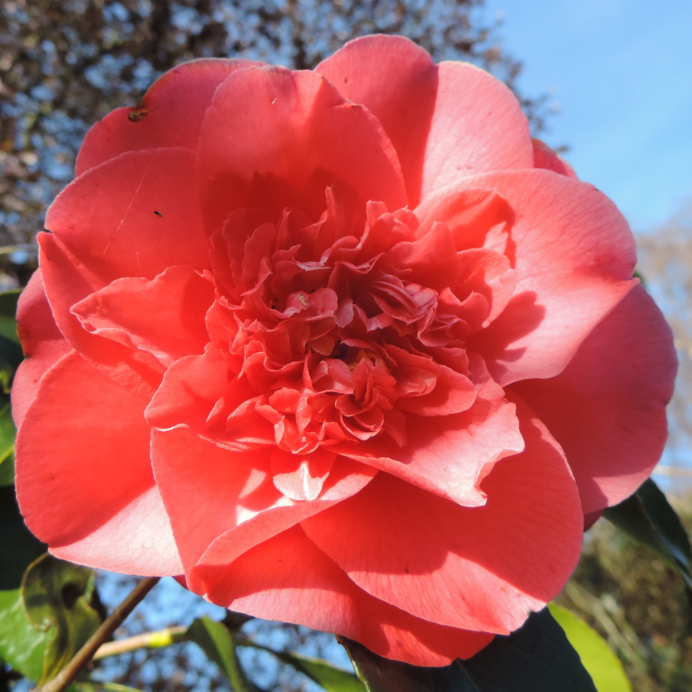 Easter Day service with David Wood