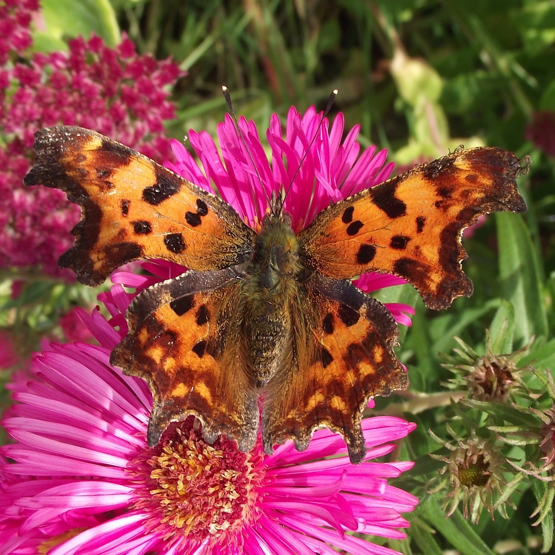 Morning Service led by Peter Cheeseman