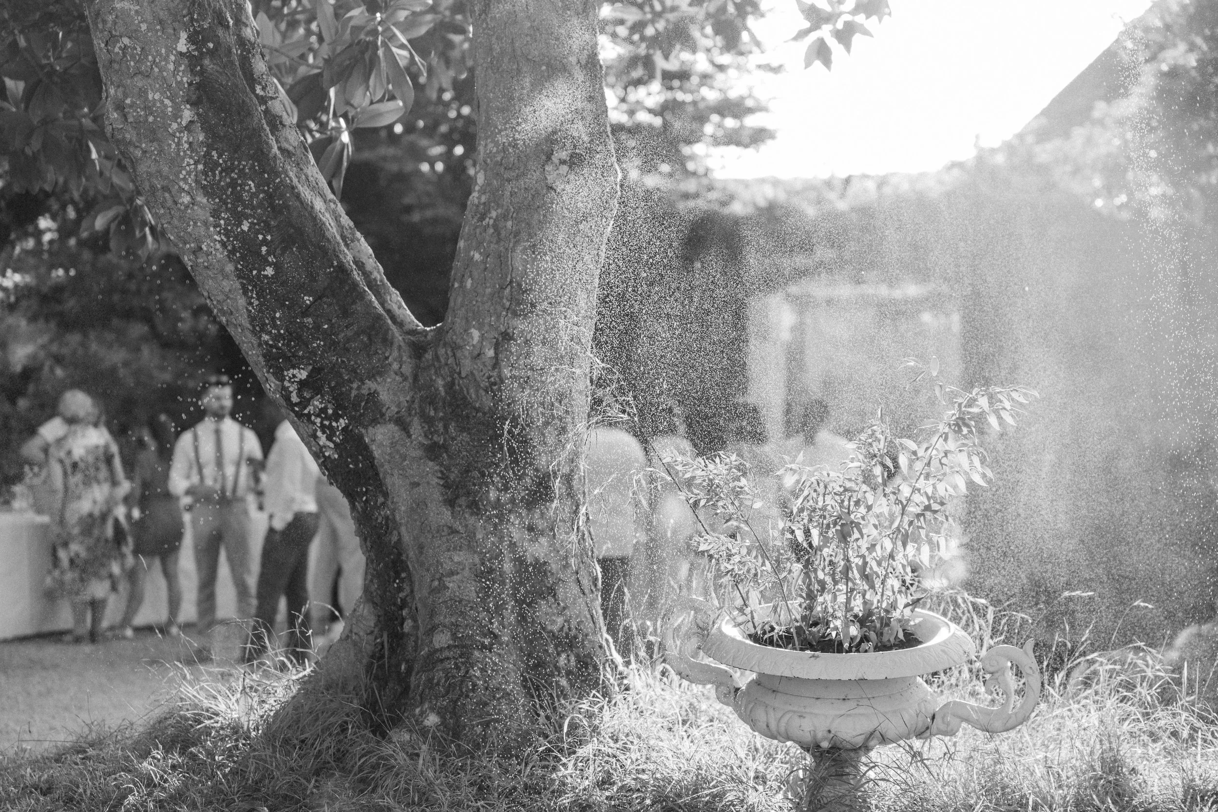 MAELLE & JESUS _ MARIAGE-1031.jpg