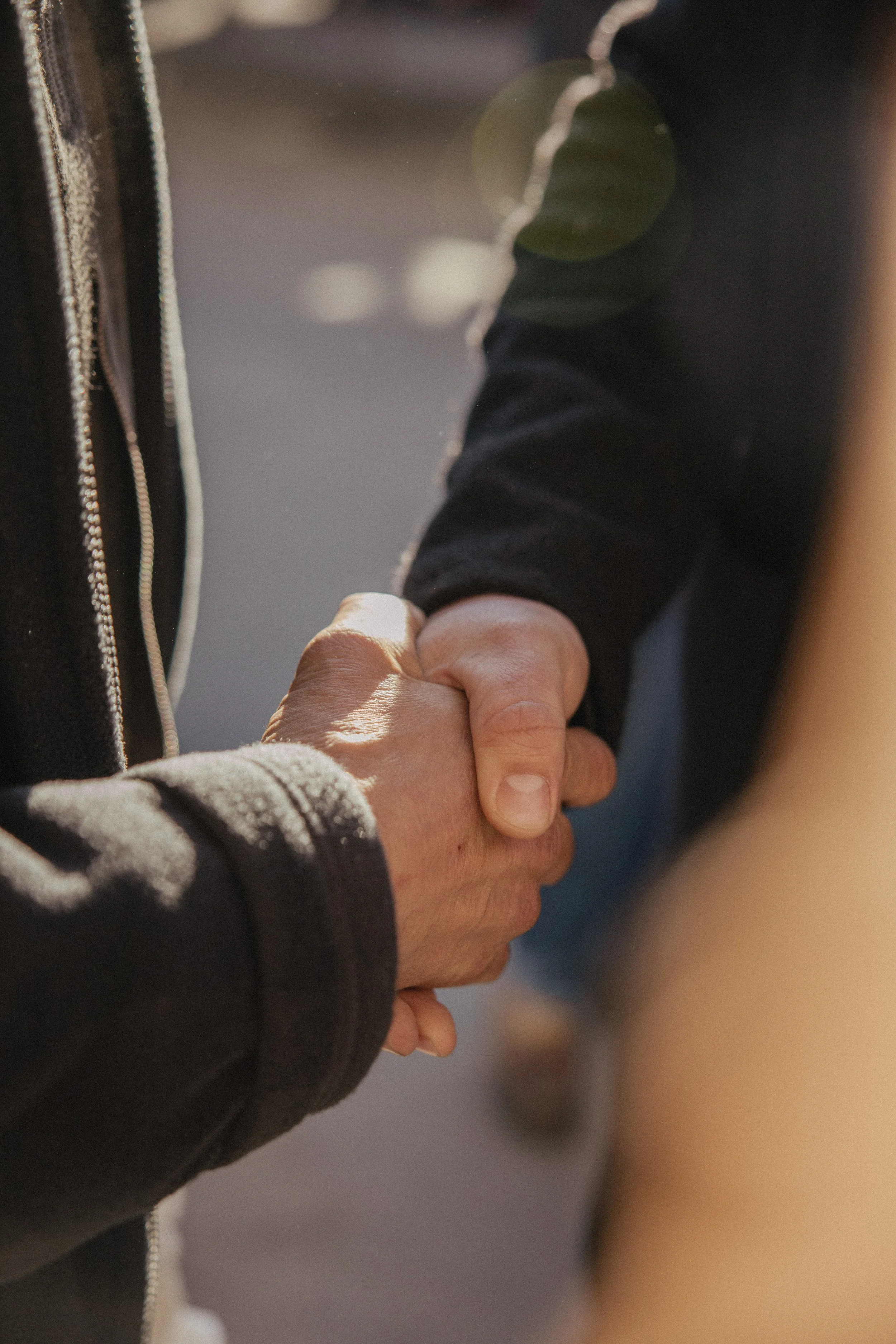 JC par Graine de Fauve-452.jpg