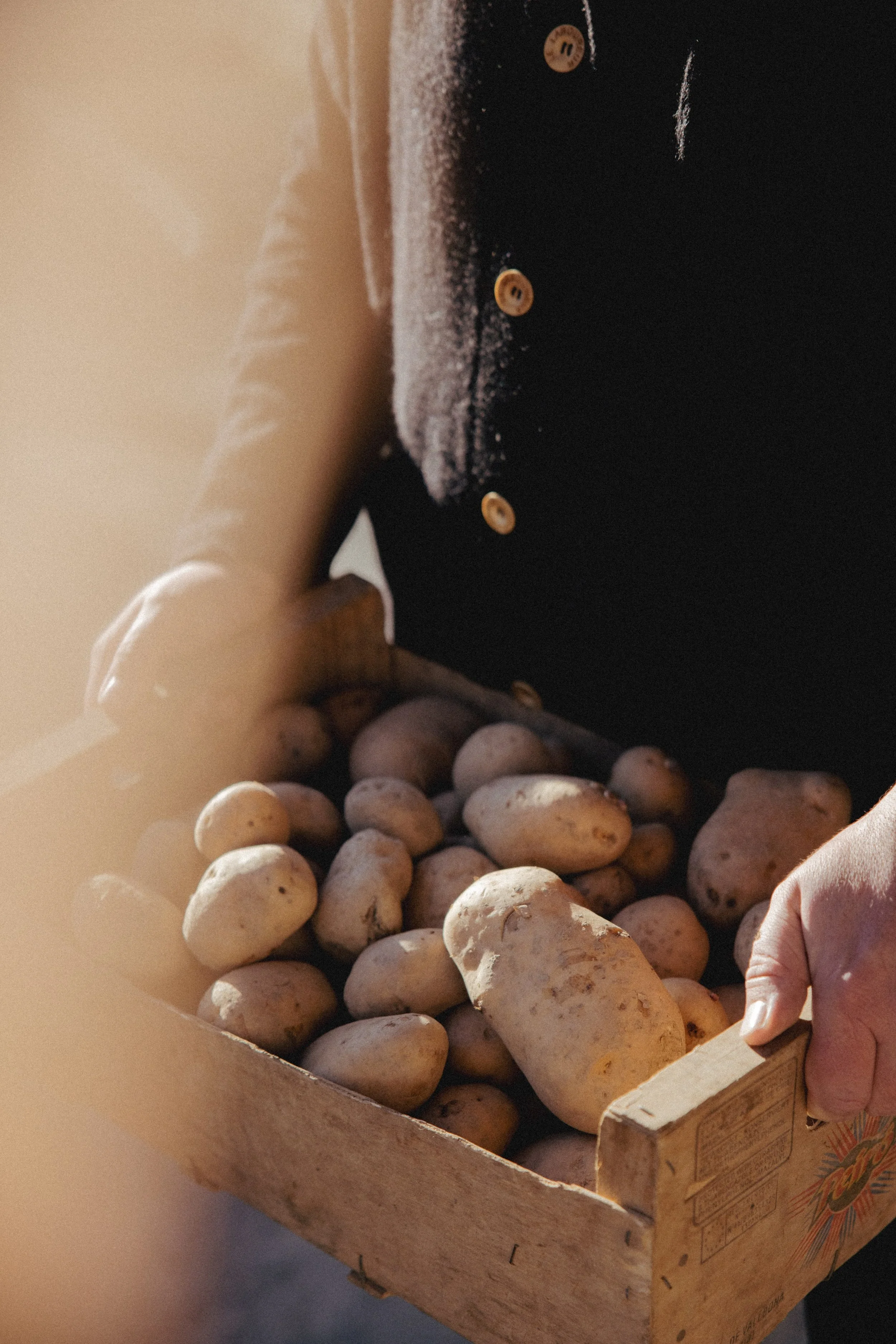 JC par Graine de Fauve-438.jpg