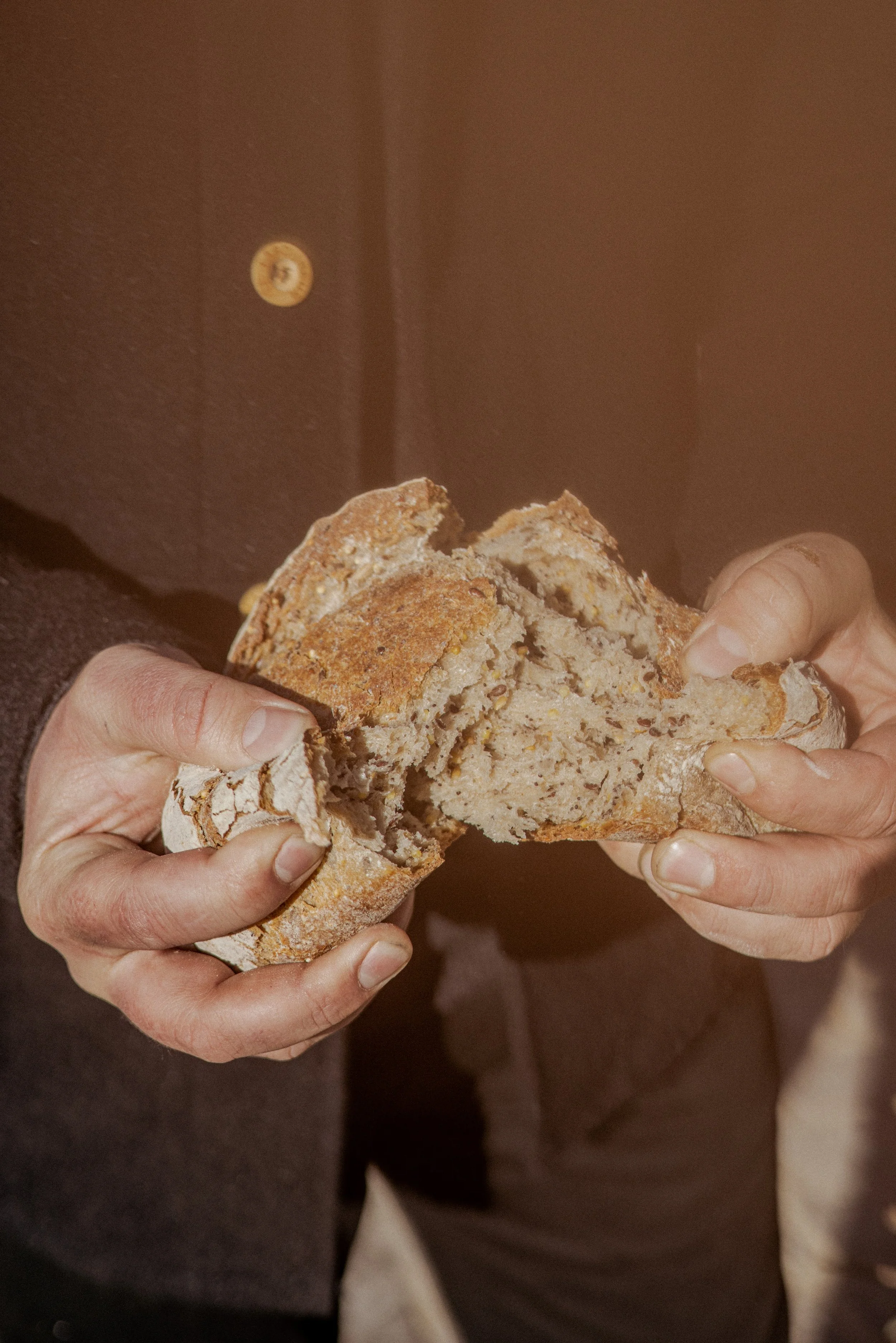 JC par Graine de Fauve-481.jpg