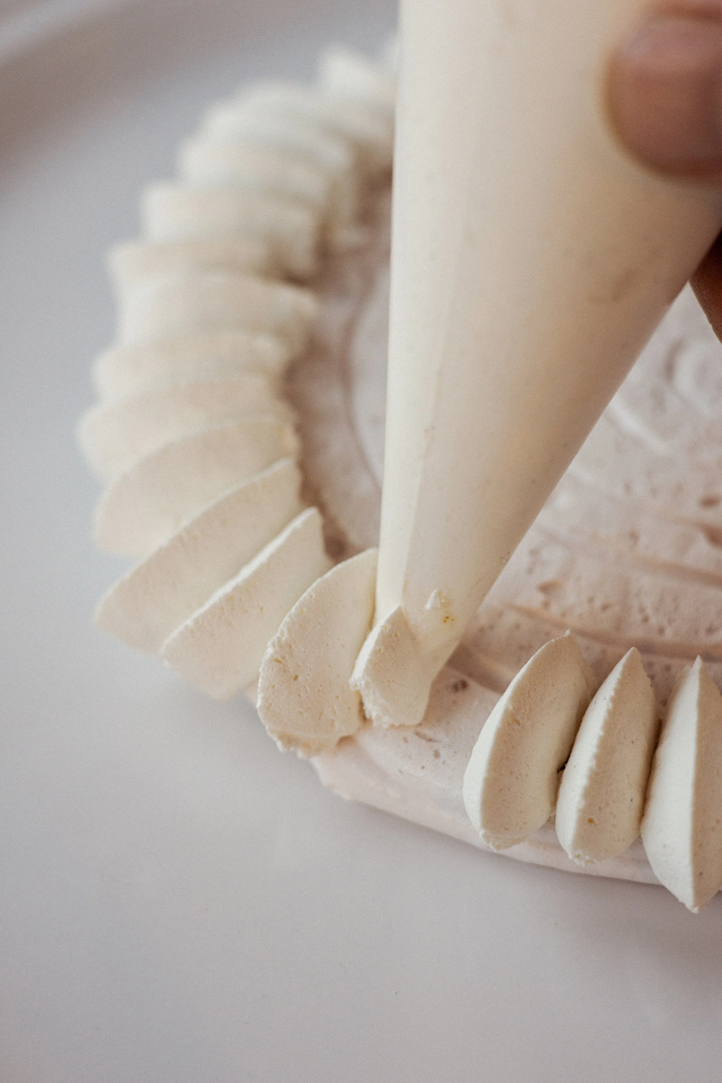 JC par Graine de Fauve-728.jpg