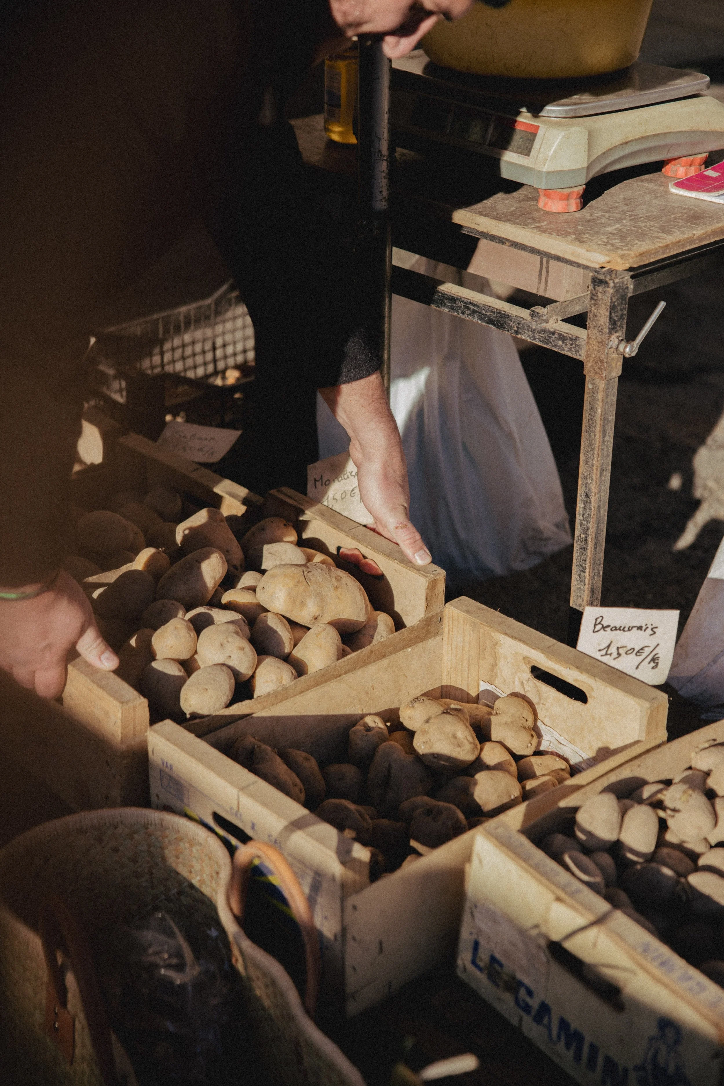 JC par Graine de Fauve-435.jpg