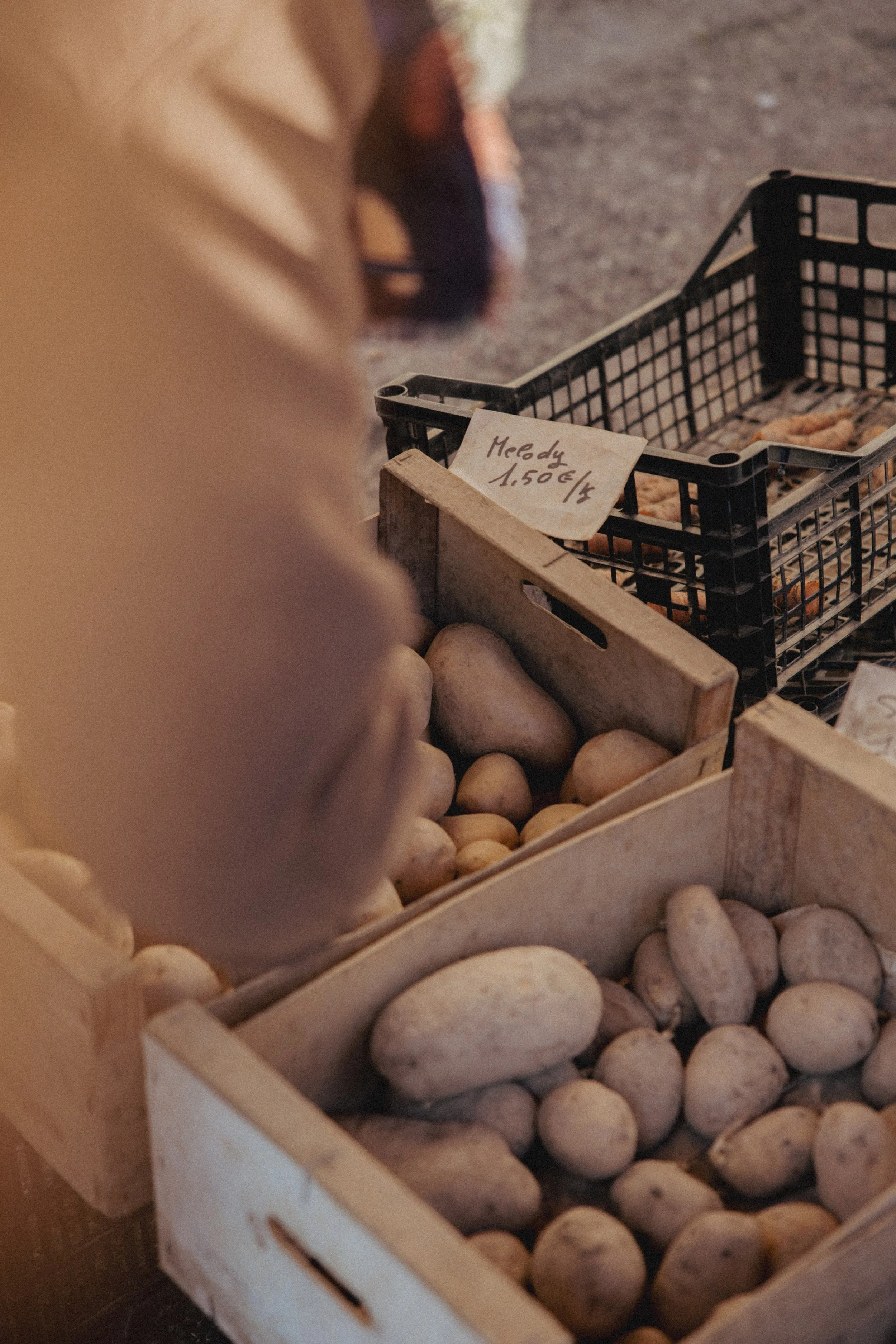 JC par Graine de Fauve-432.jpg