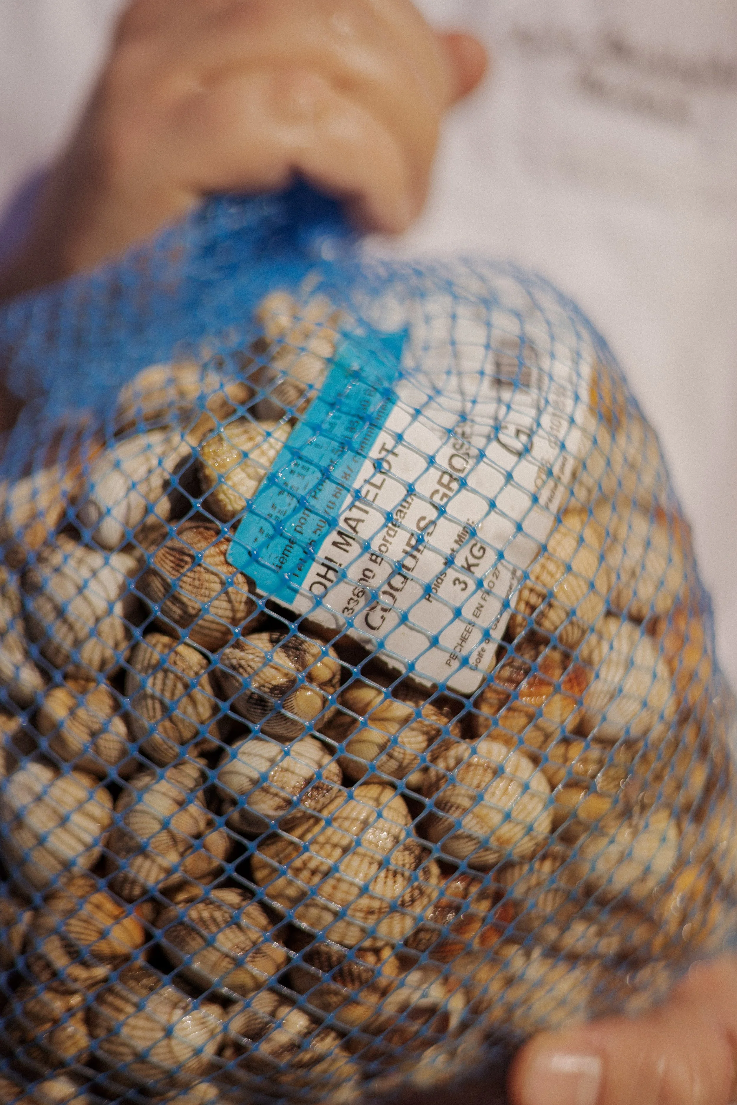 JC par Graine de Fauve-548.jpg