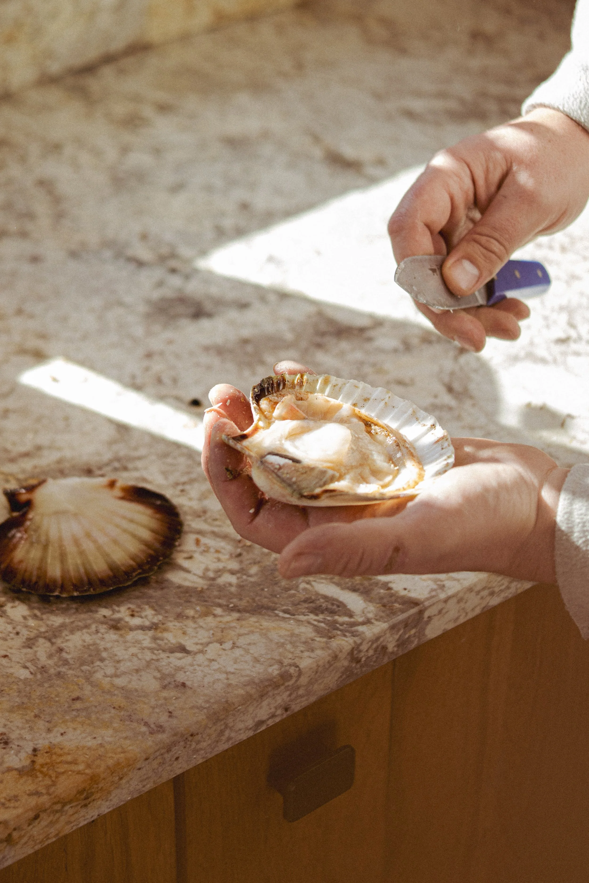 JC par Graine de Fauve-510.jpg