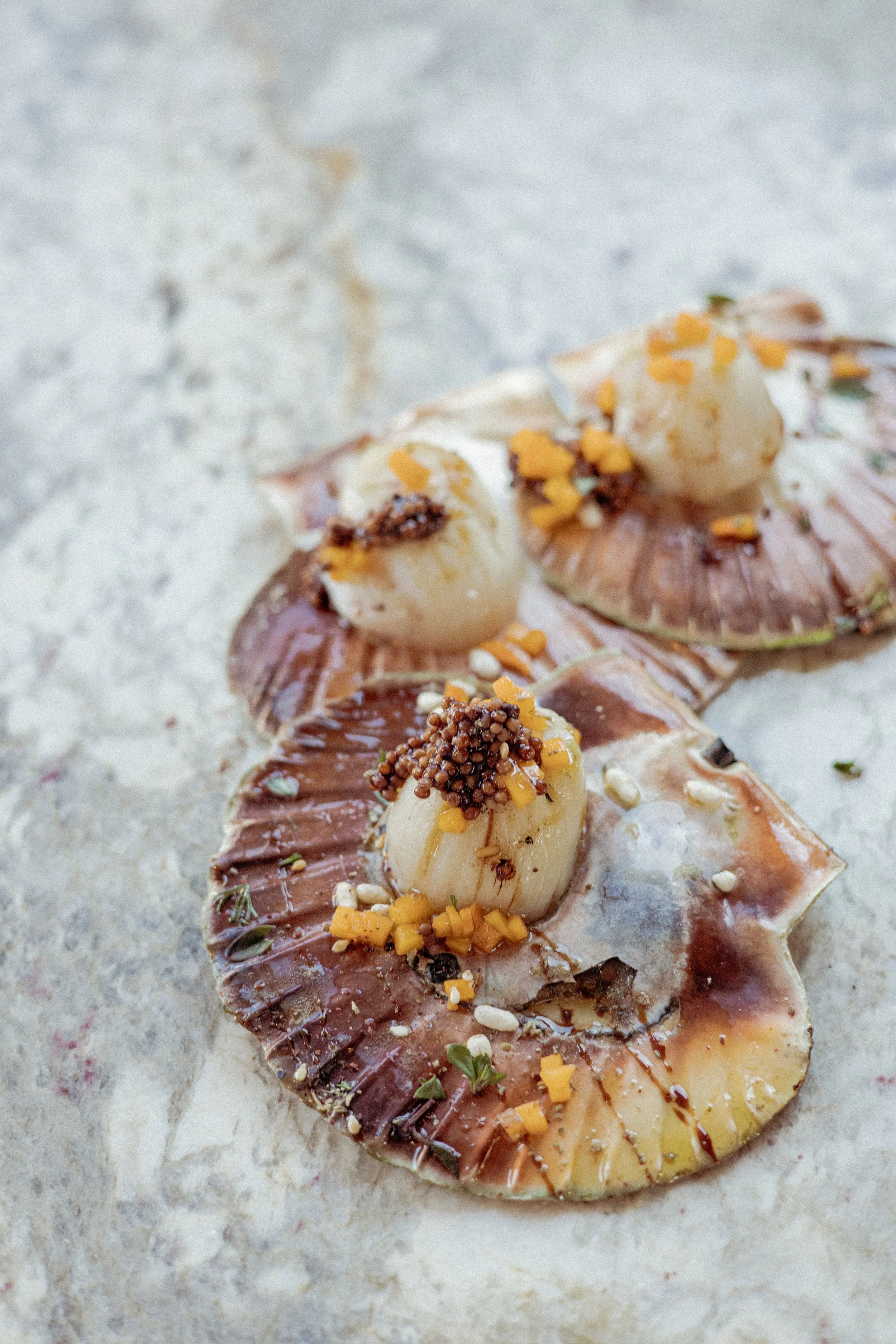 JC par Graine de Fauve-721.jpg