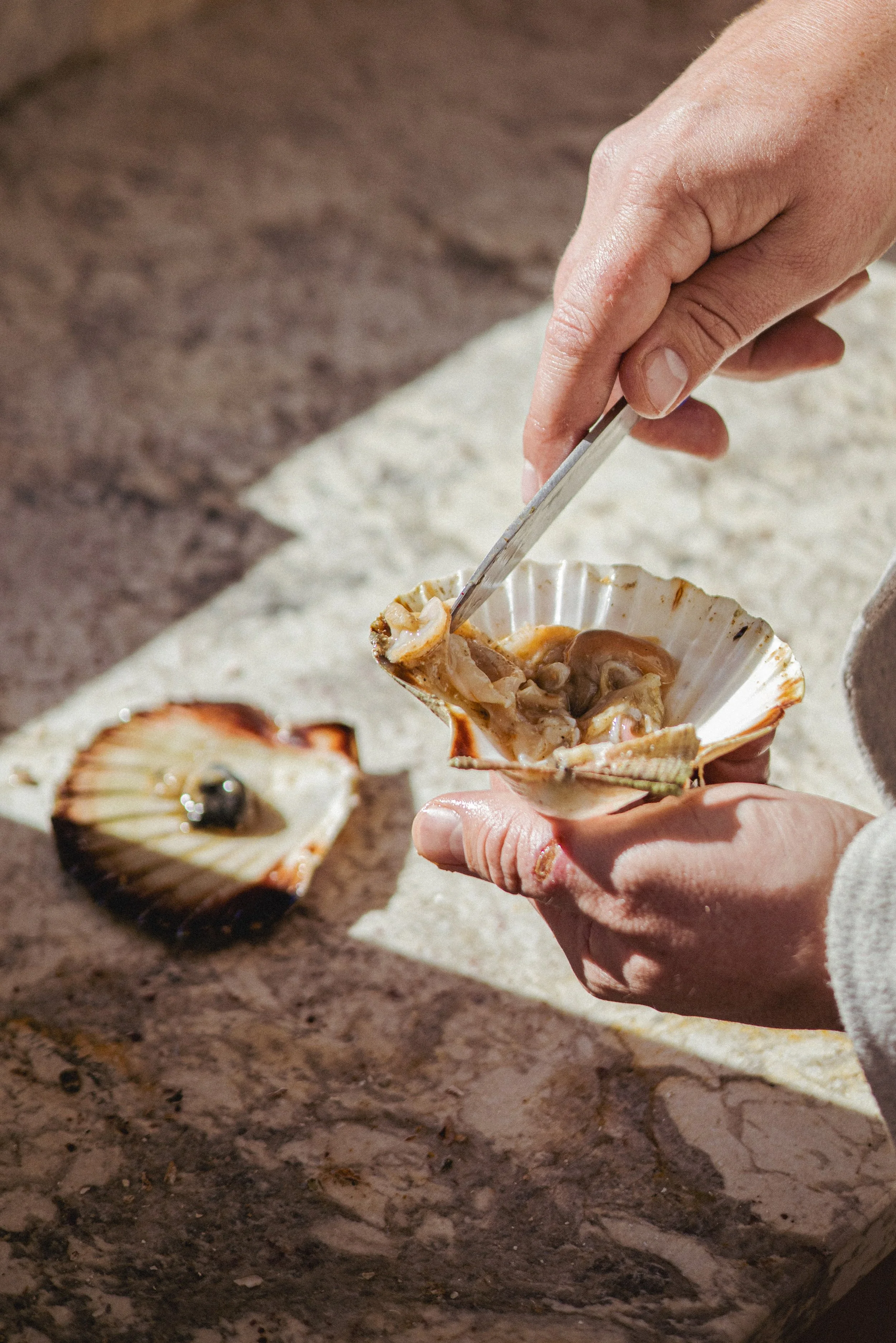 JC par Graine de Fauve-513.jpg