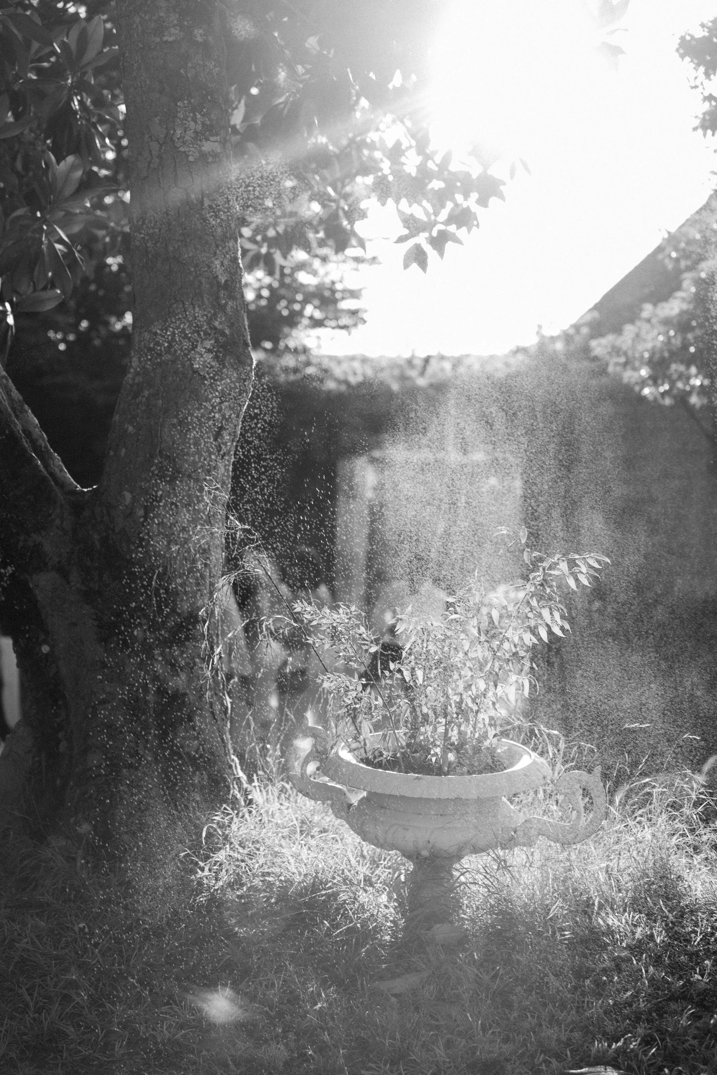 MAELLE & JESUS _ MARIAGE-1030.jpg