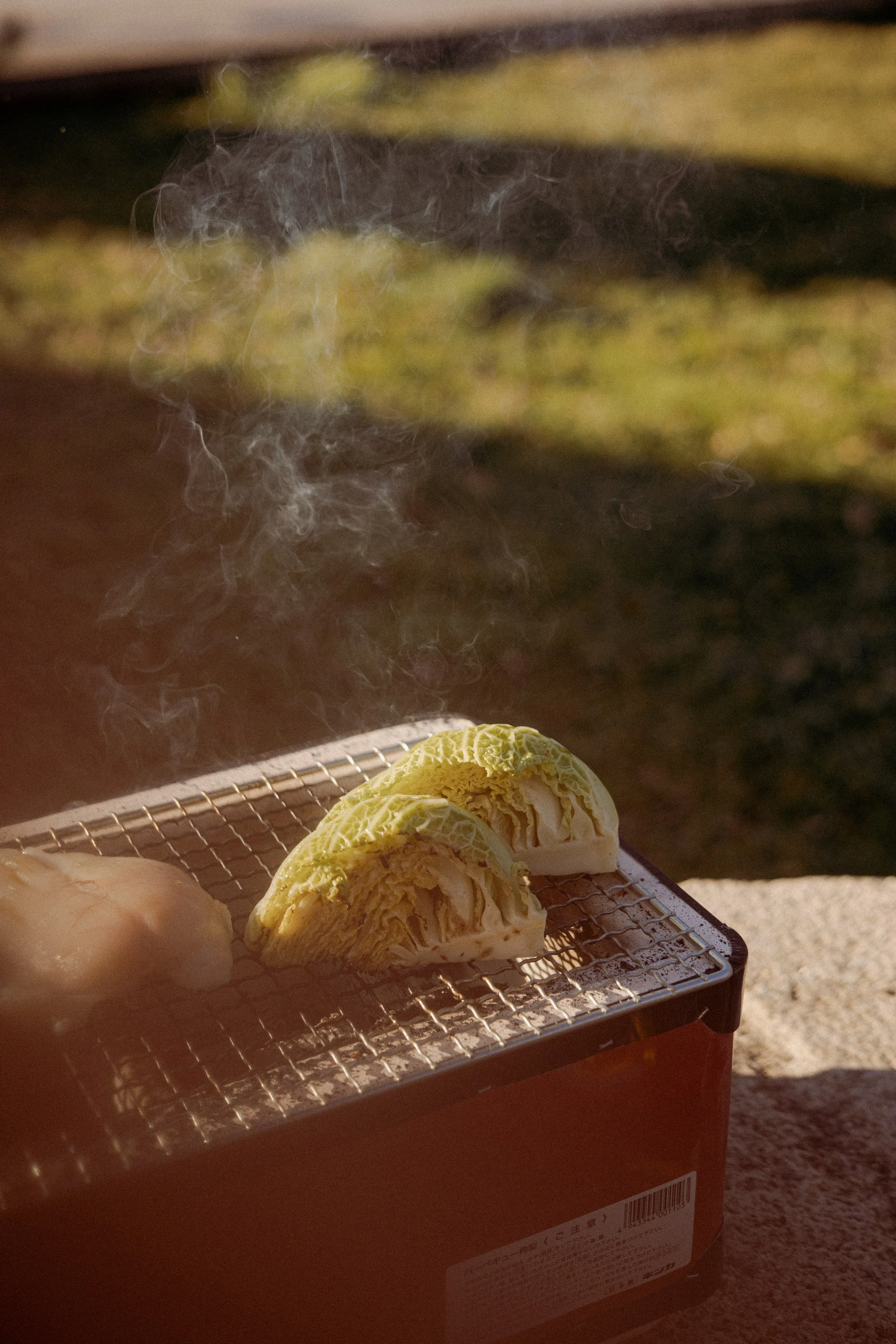 JC par Graine de Fauve-685.jpg