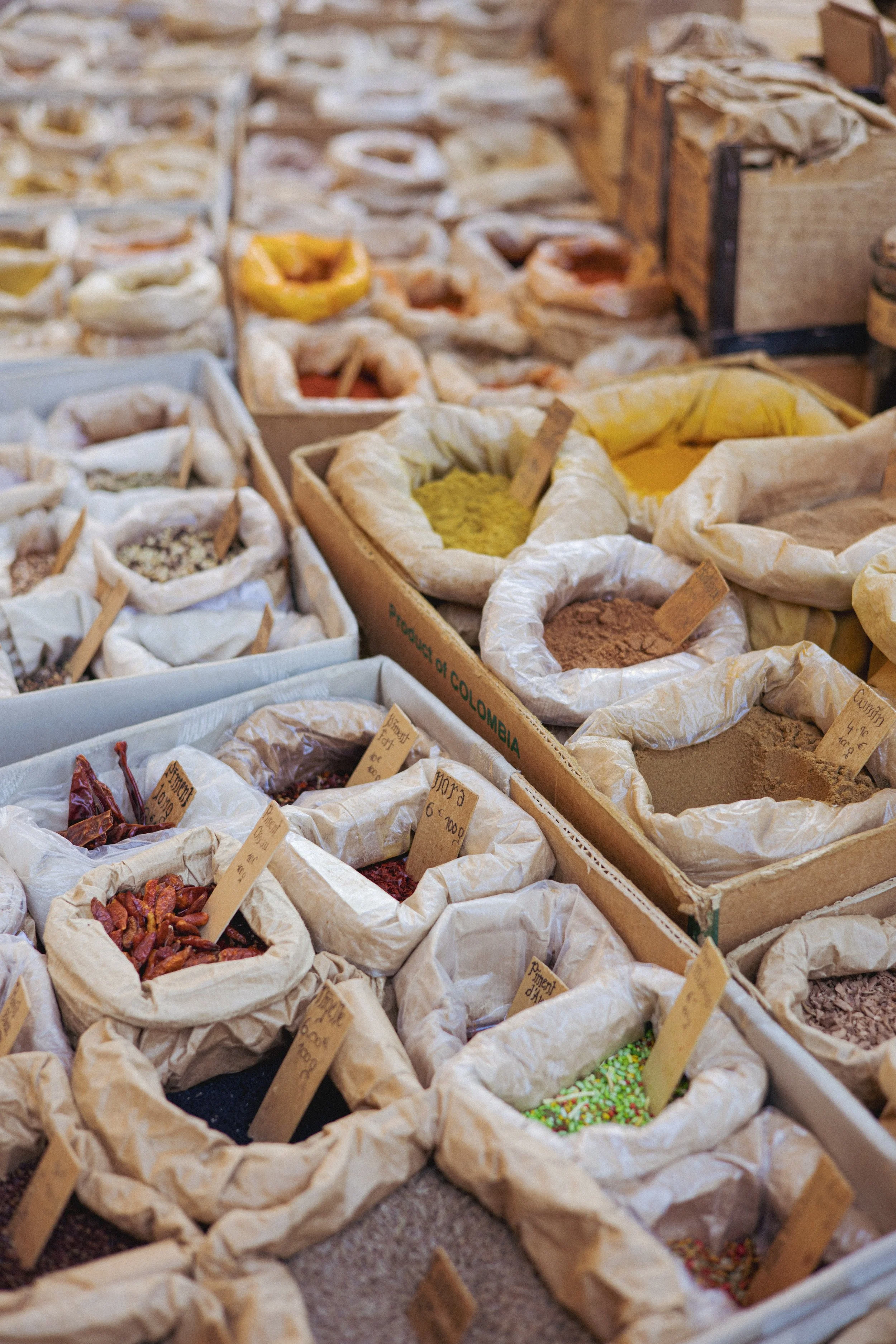 JC par Graine de Fauve-483.jpg