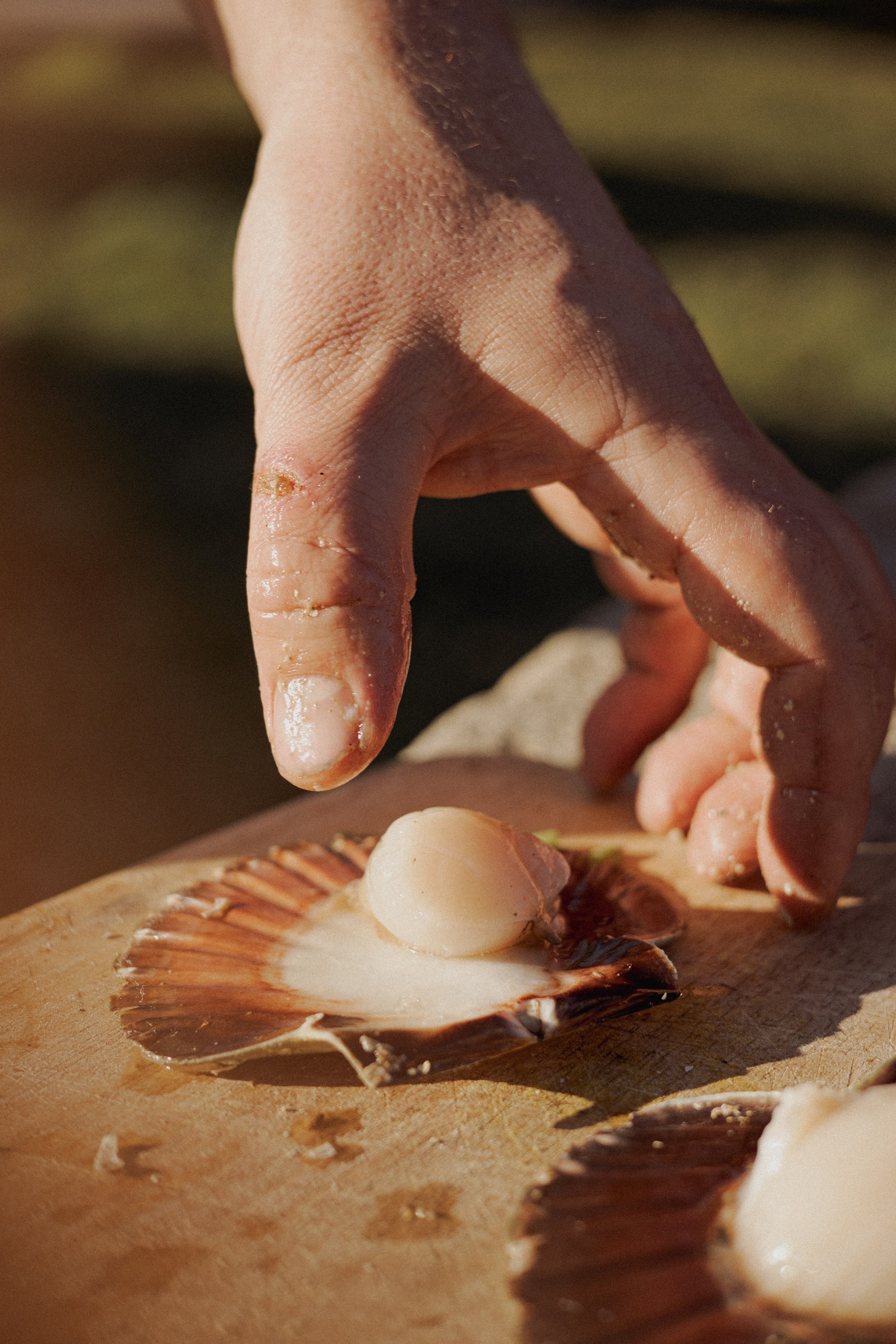JC par Graine de Fauve-692.jpg