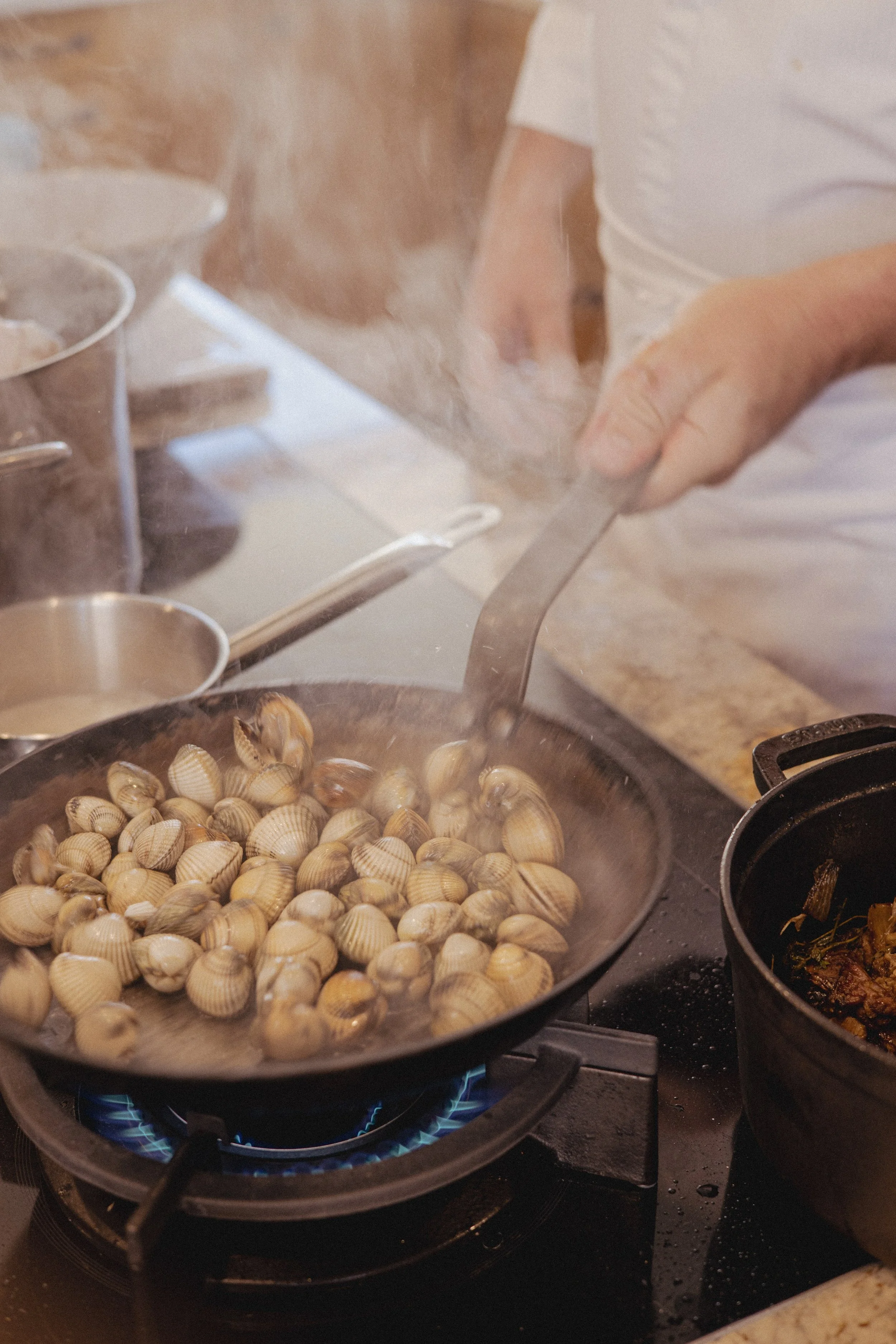 JC par Graine de Fauve-613.jpg