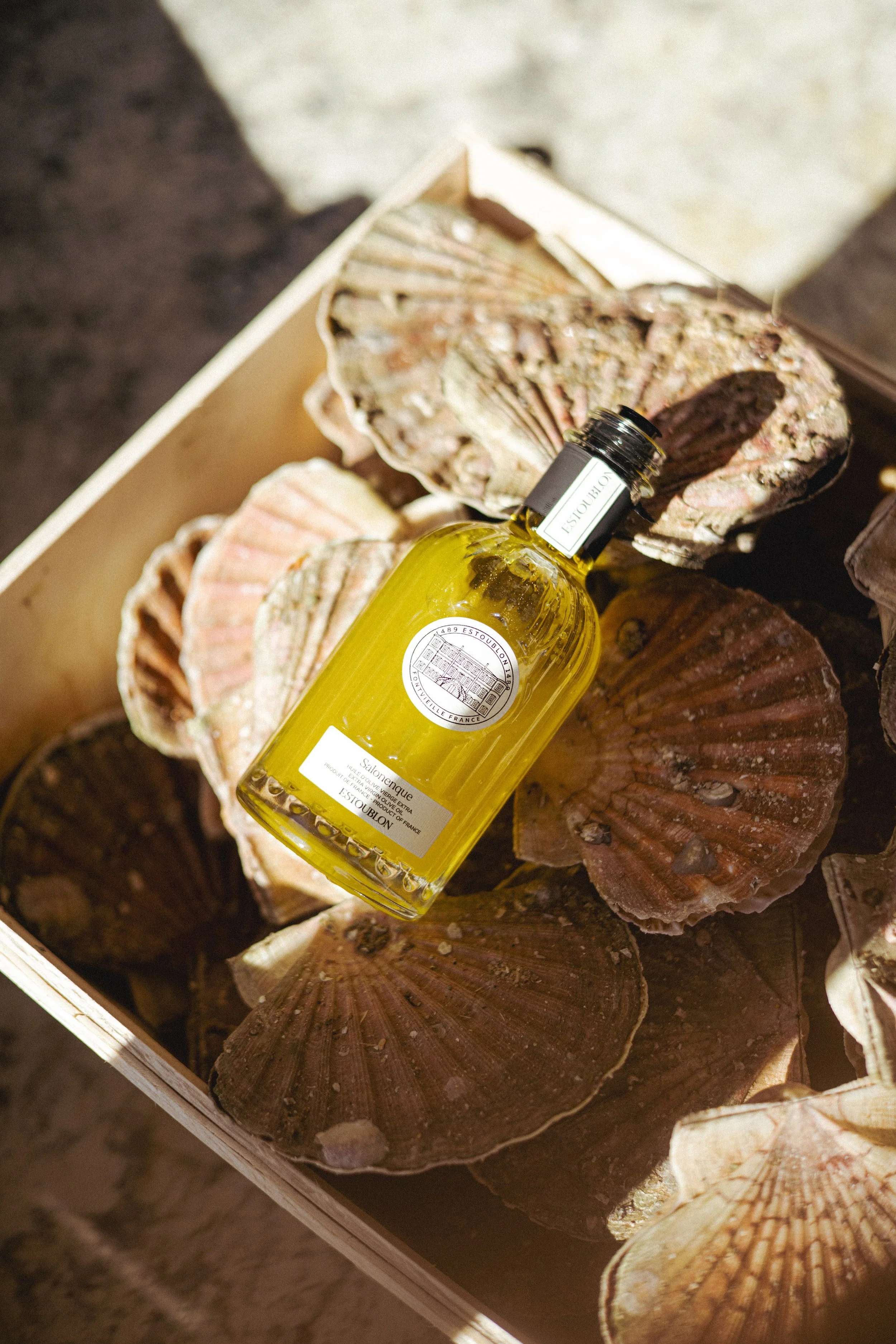 JC par Graine de Fauve-521.jpg