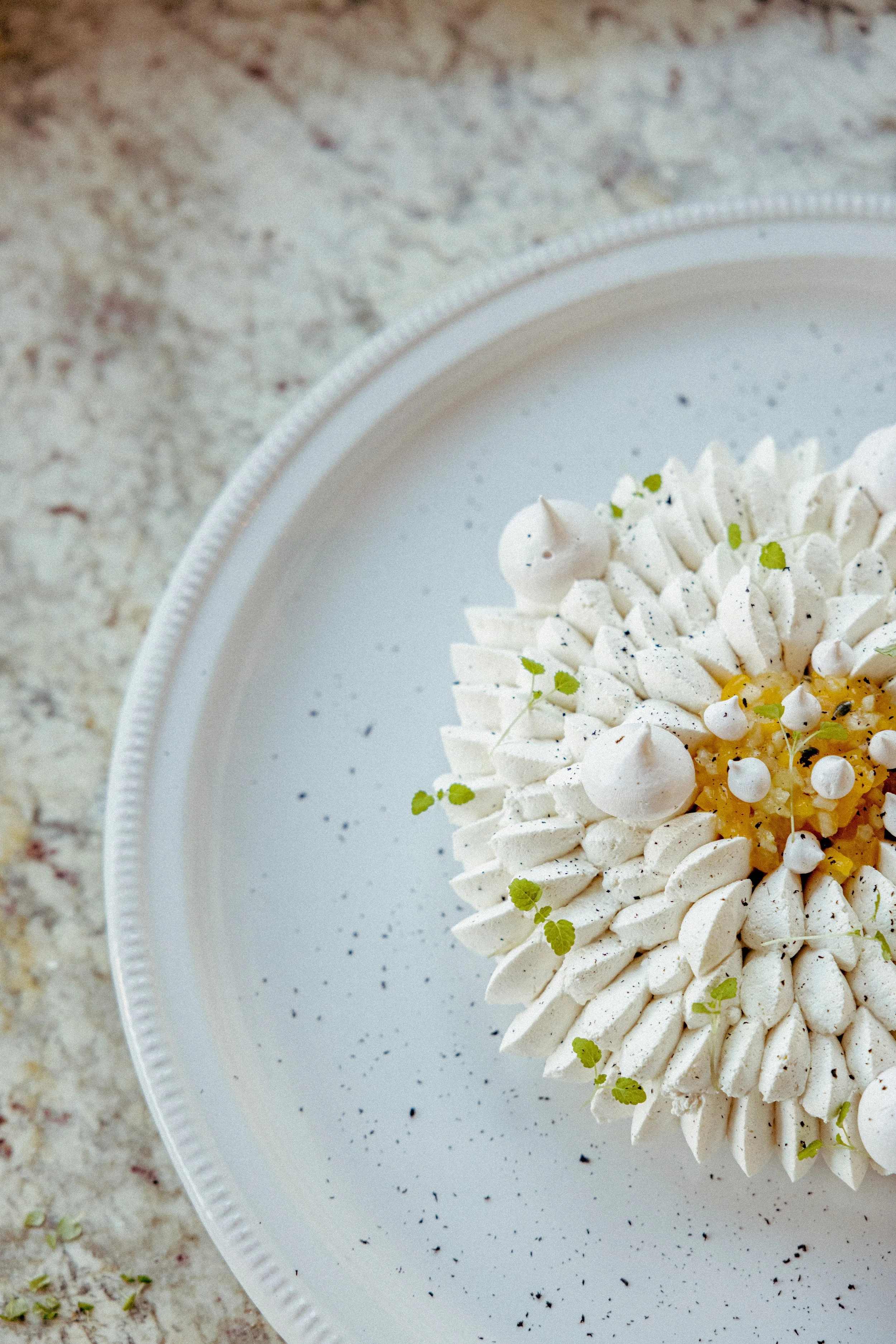 JC par Graine de Fauve-761.jpg