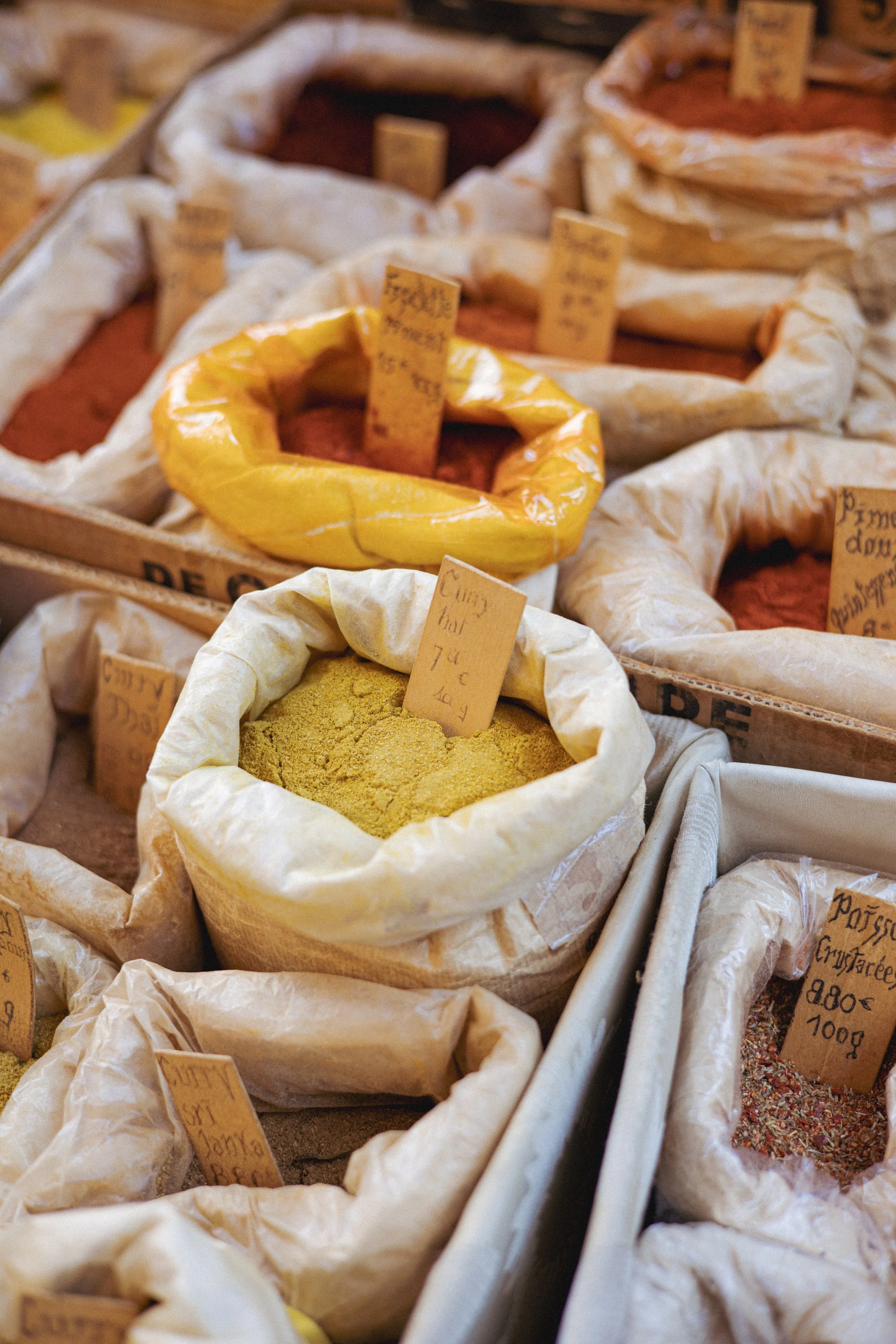 JC par Graine de Fauve-486.jpg