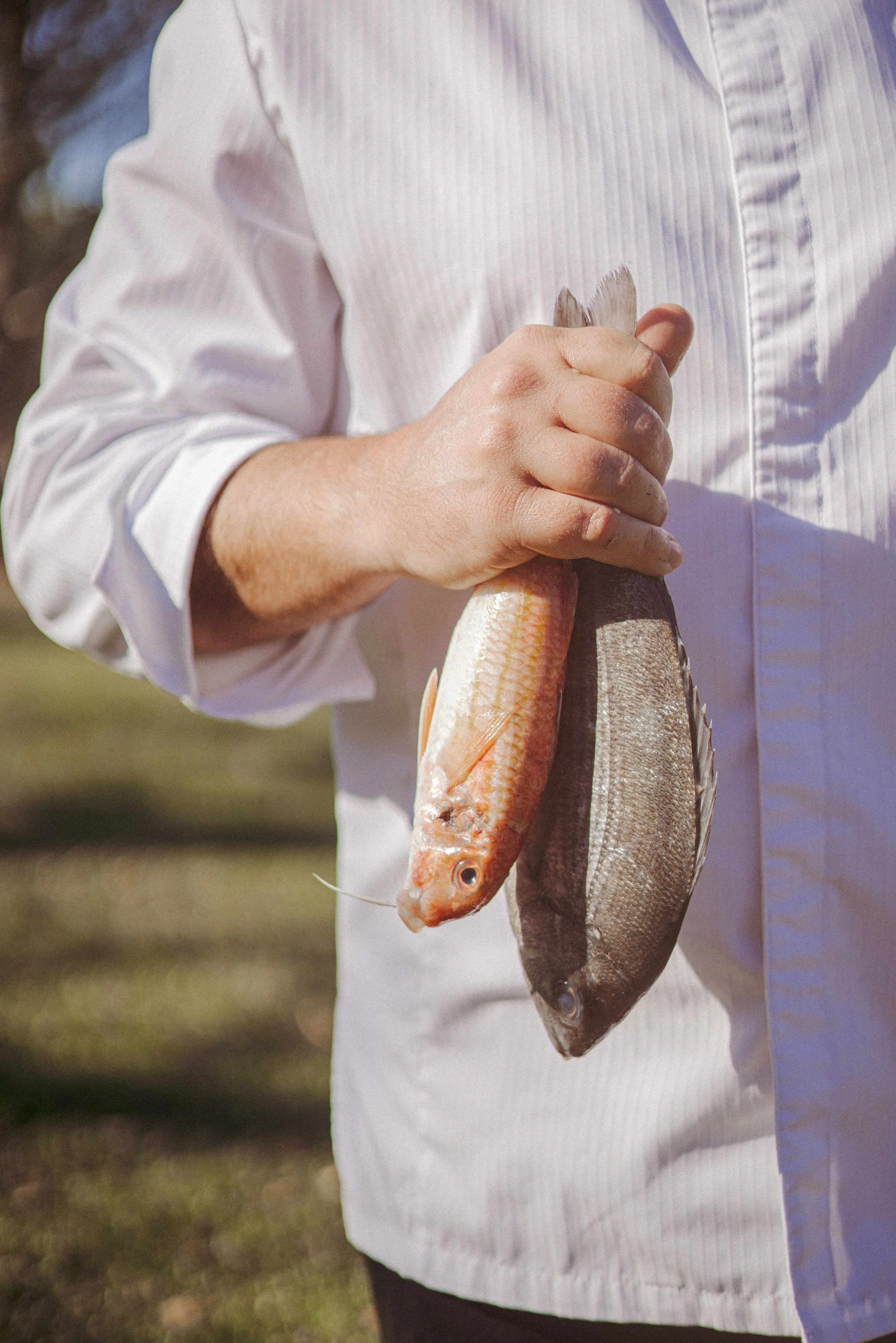 JC par Graine de Fauve-546.jpg