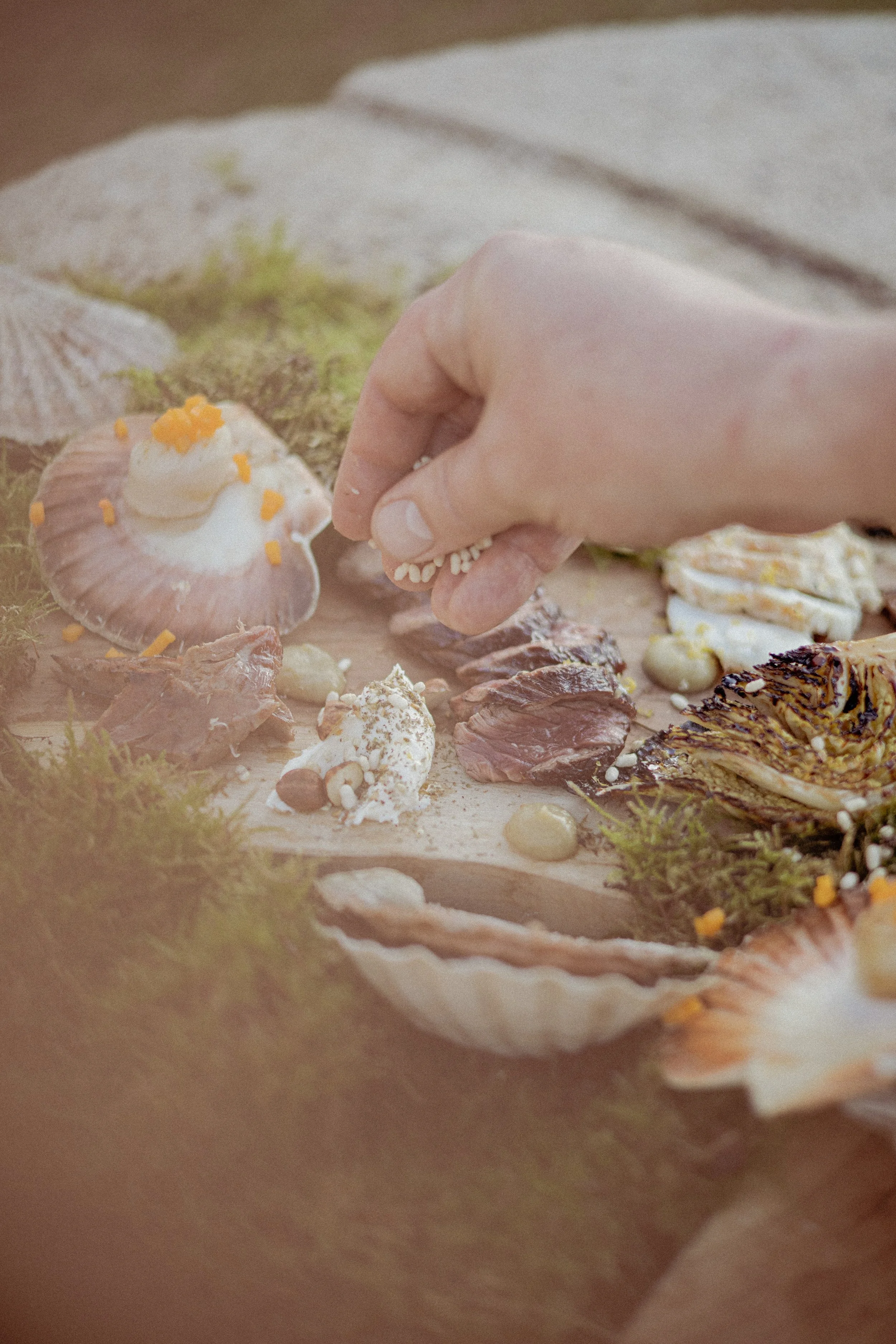 JC par Graine de Fauve-717.jpg