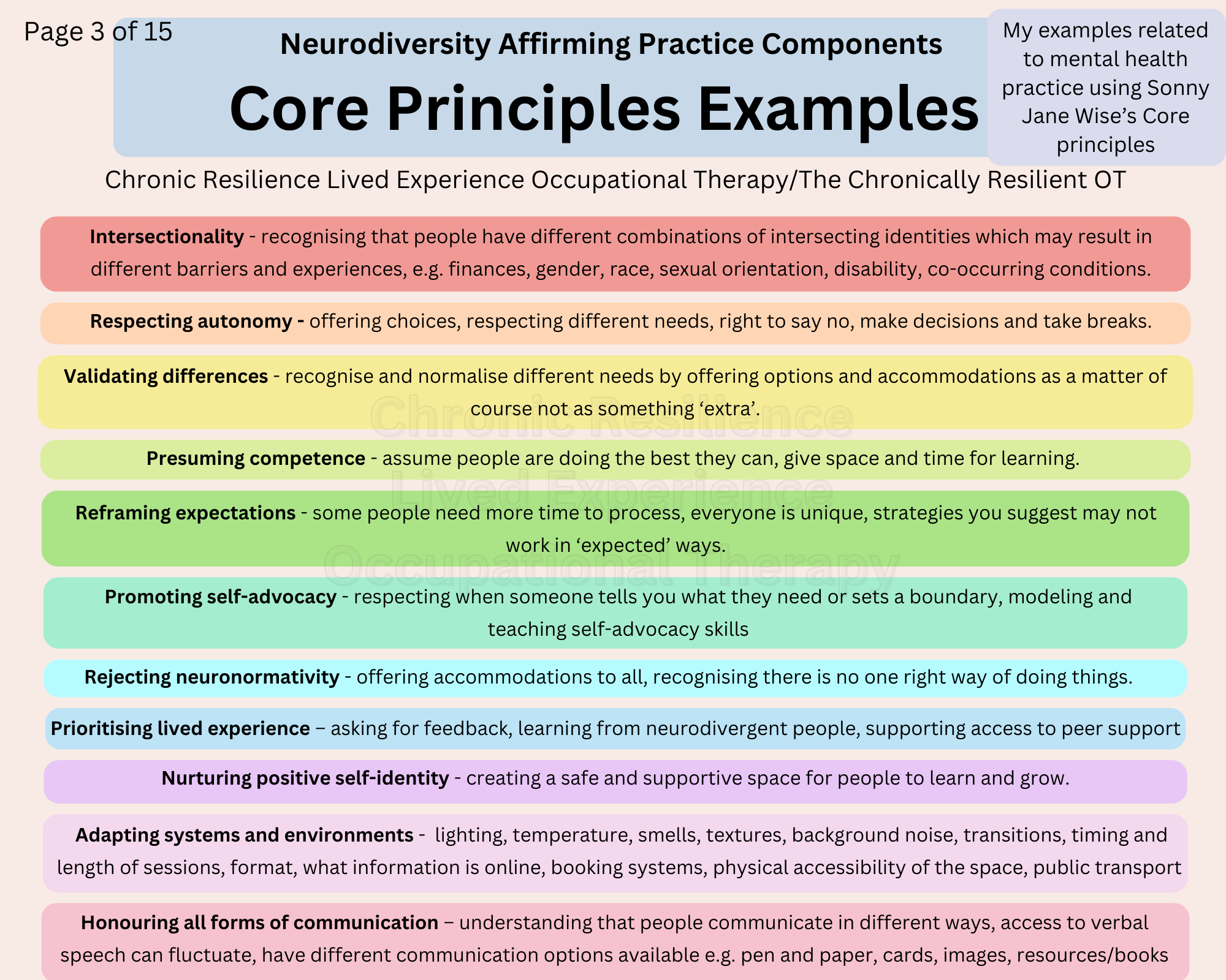 Examples of core principles of neurodiversity affirming practice